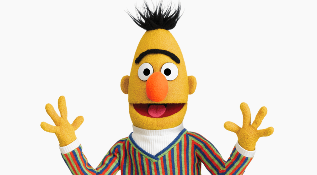 Meet Bert: The Iconic Character