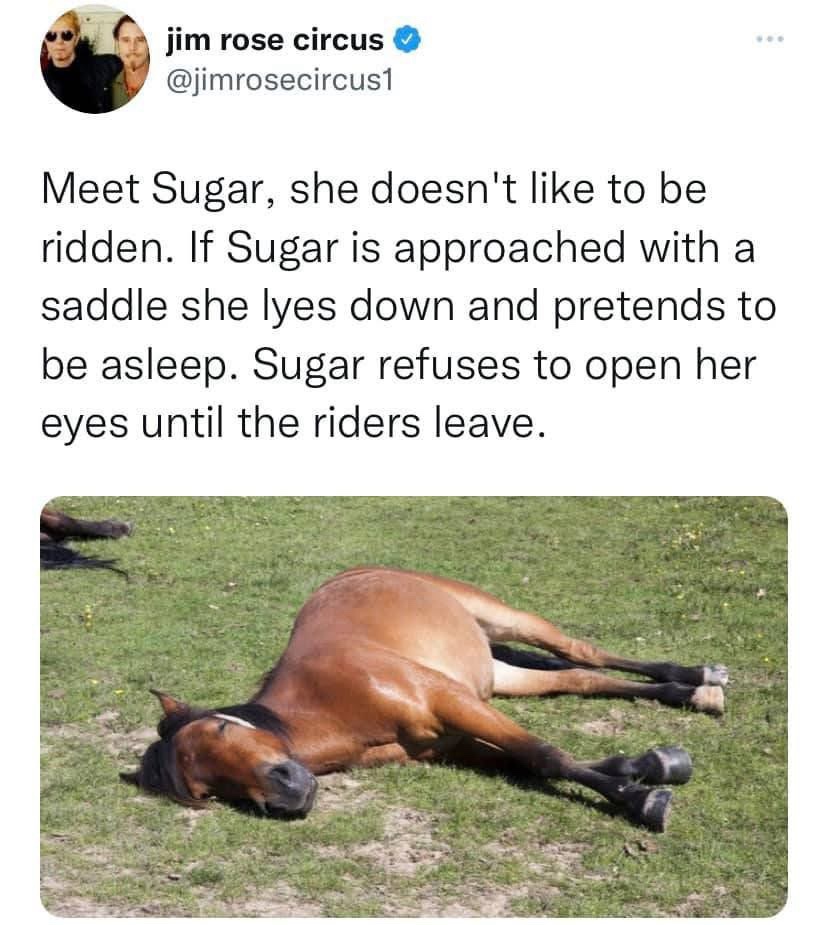 Totally Understandable