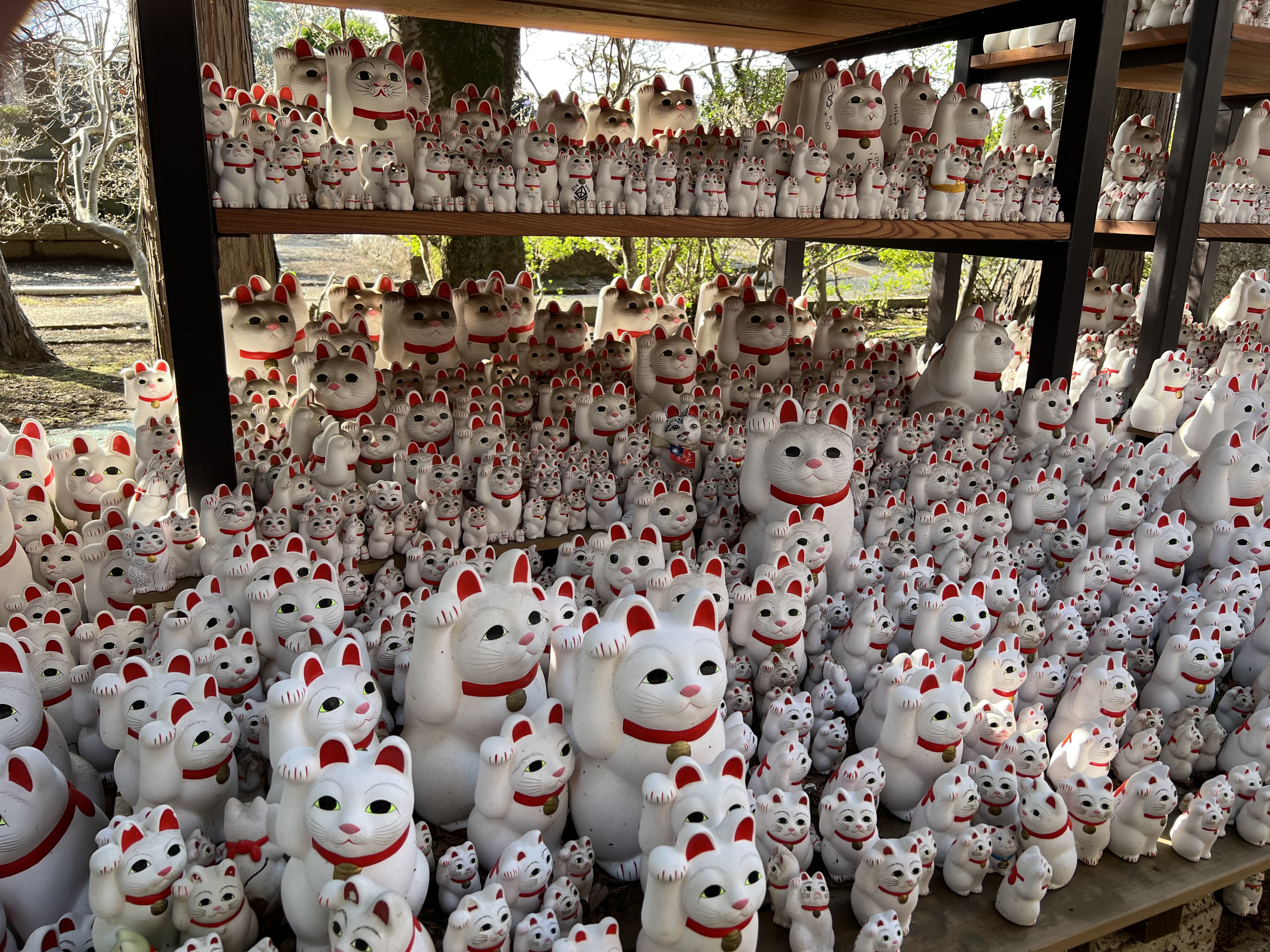 The Iconic Maneki-neko: A Symbol of Good Fortune