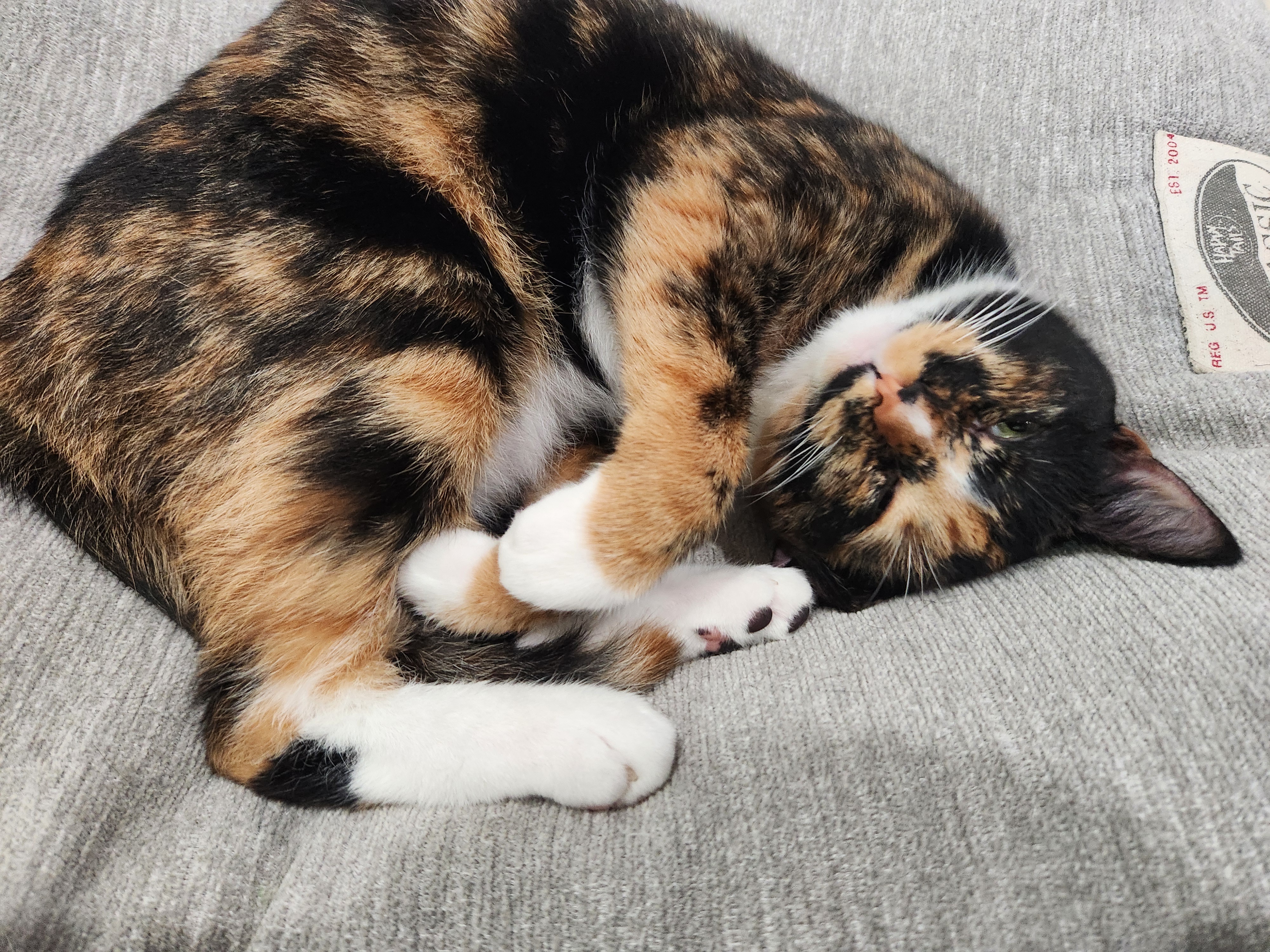 Time for a Well-Deserved Nap!