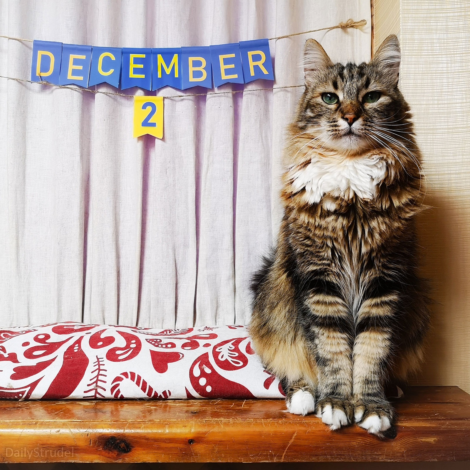 Mark Your Calendars: December 2