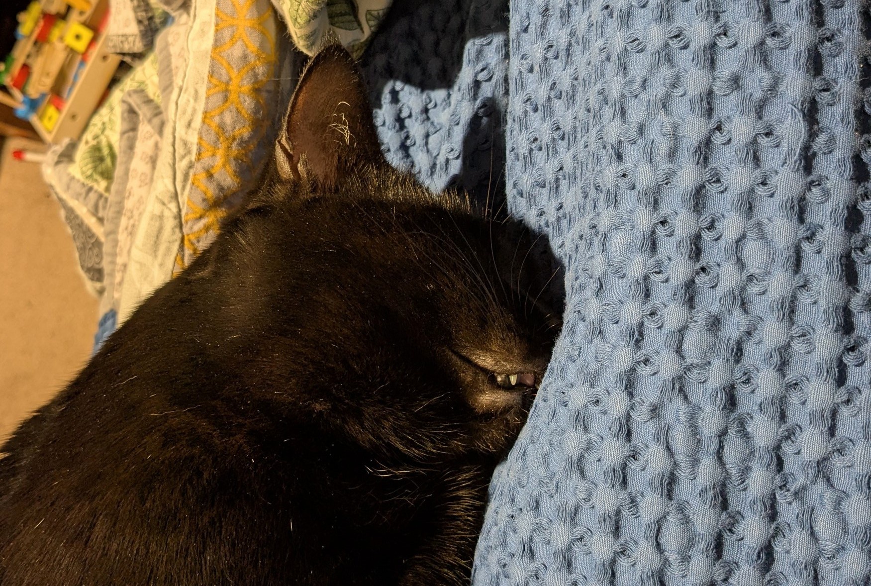 The Eyeless Creature of Nightmares