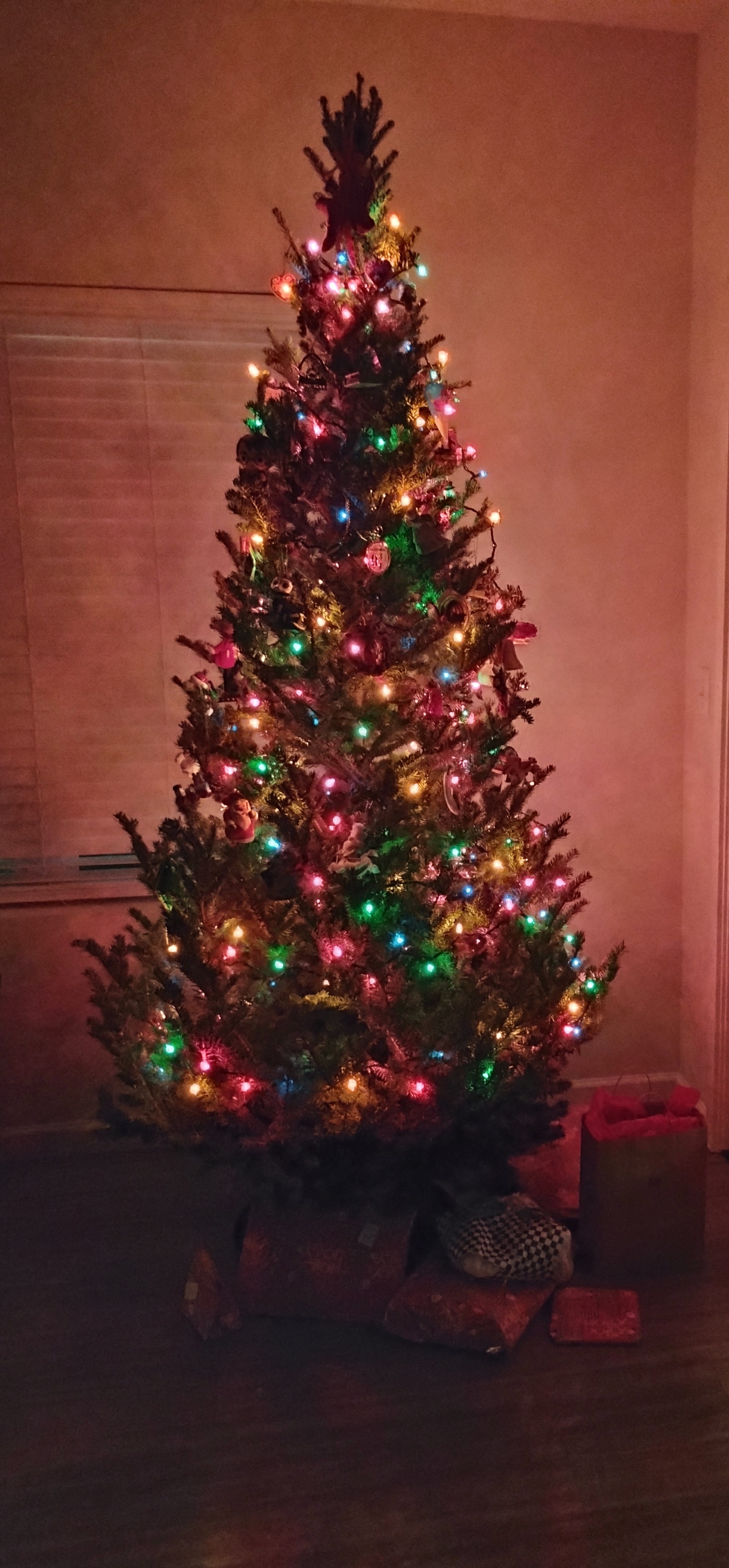 Wishing You a Merry Meowmas, Happy Yule, and a Joyful Christmas!