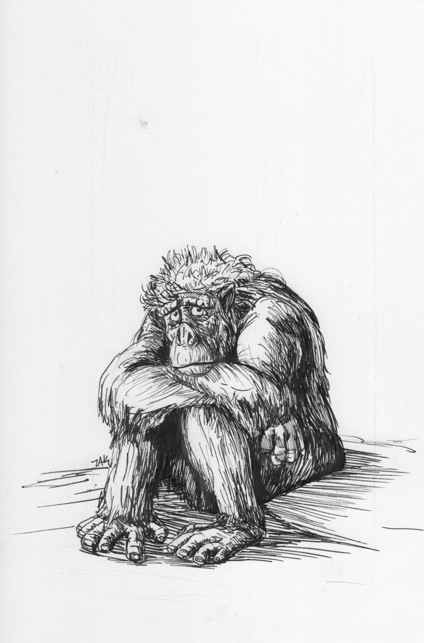 Daily Sketch: A Day at the Zoo