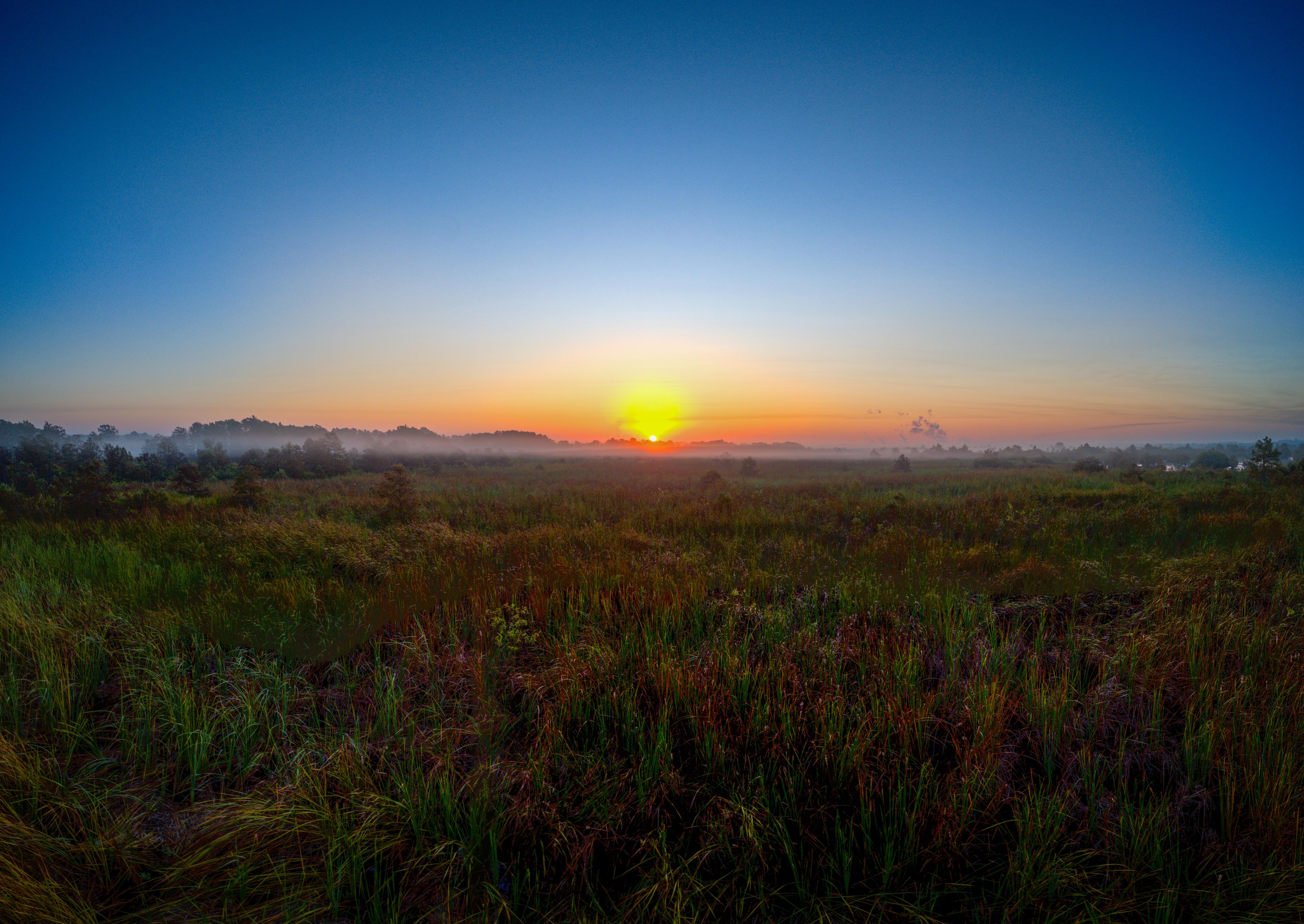 Sunday Photoshoot: Capturing the Swamp Grass as Seasons Change