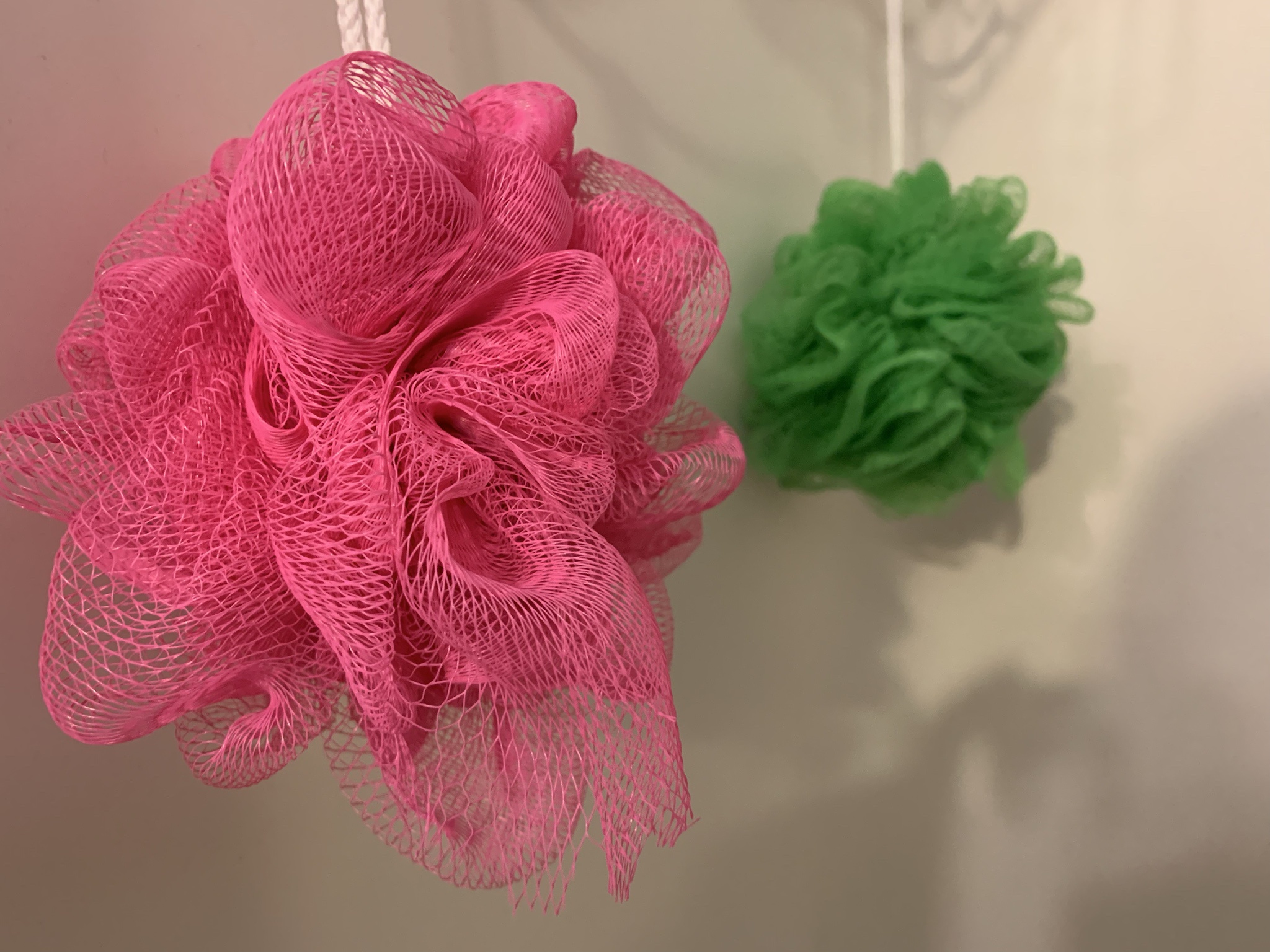 I discovered Cosmo and Wanda hiding out in my shower!