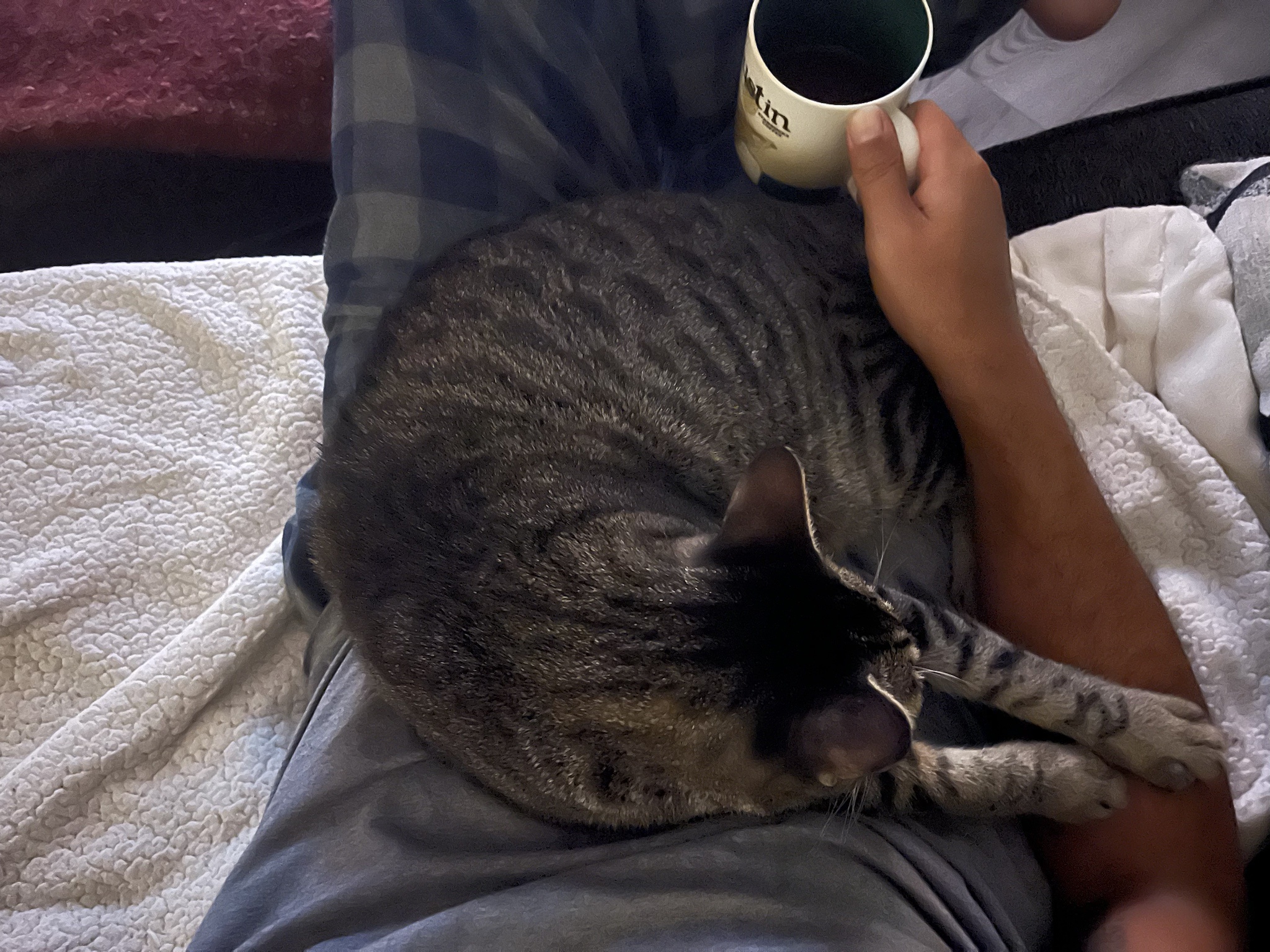 Come on, you can't deny me my coffee fix, right?