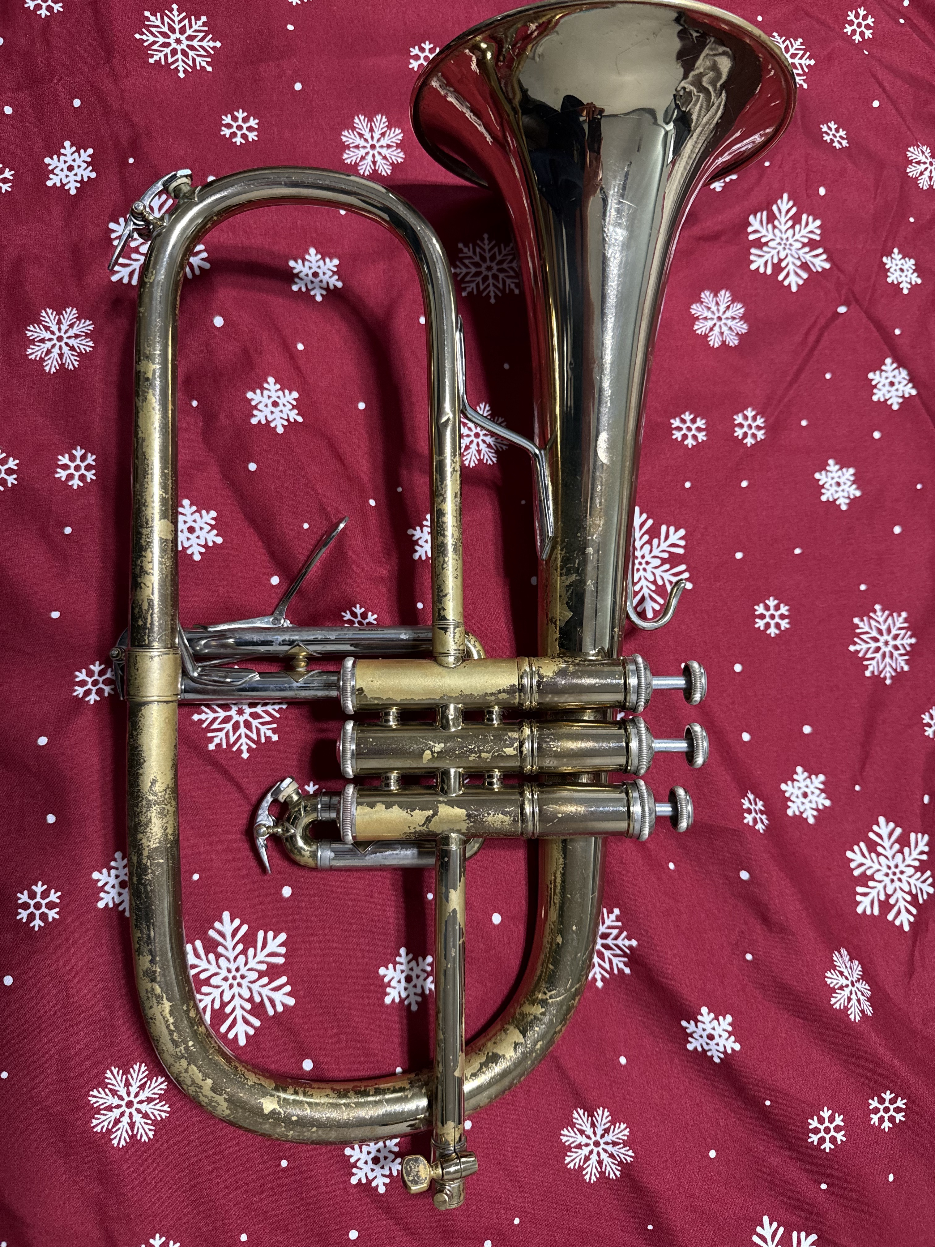 The Enchanting Sound of Bach's Flugel
