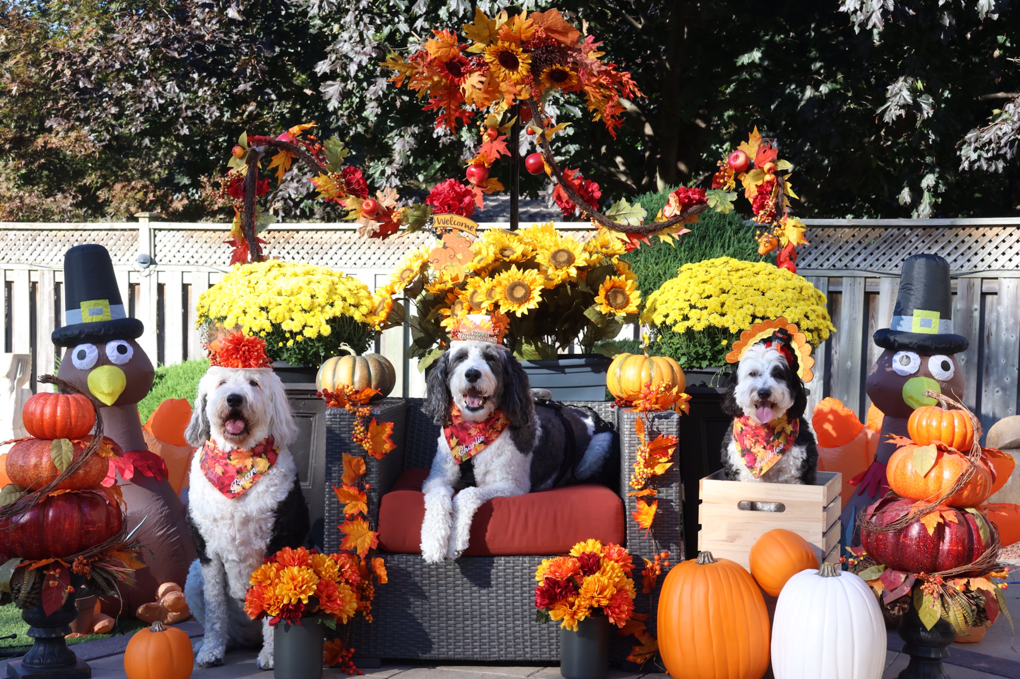 Celebrating Canadian Thanksgiving 2024 with Joy!