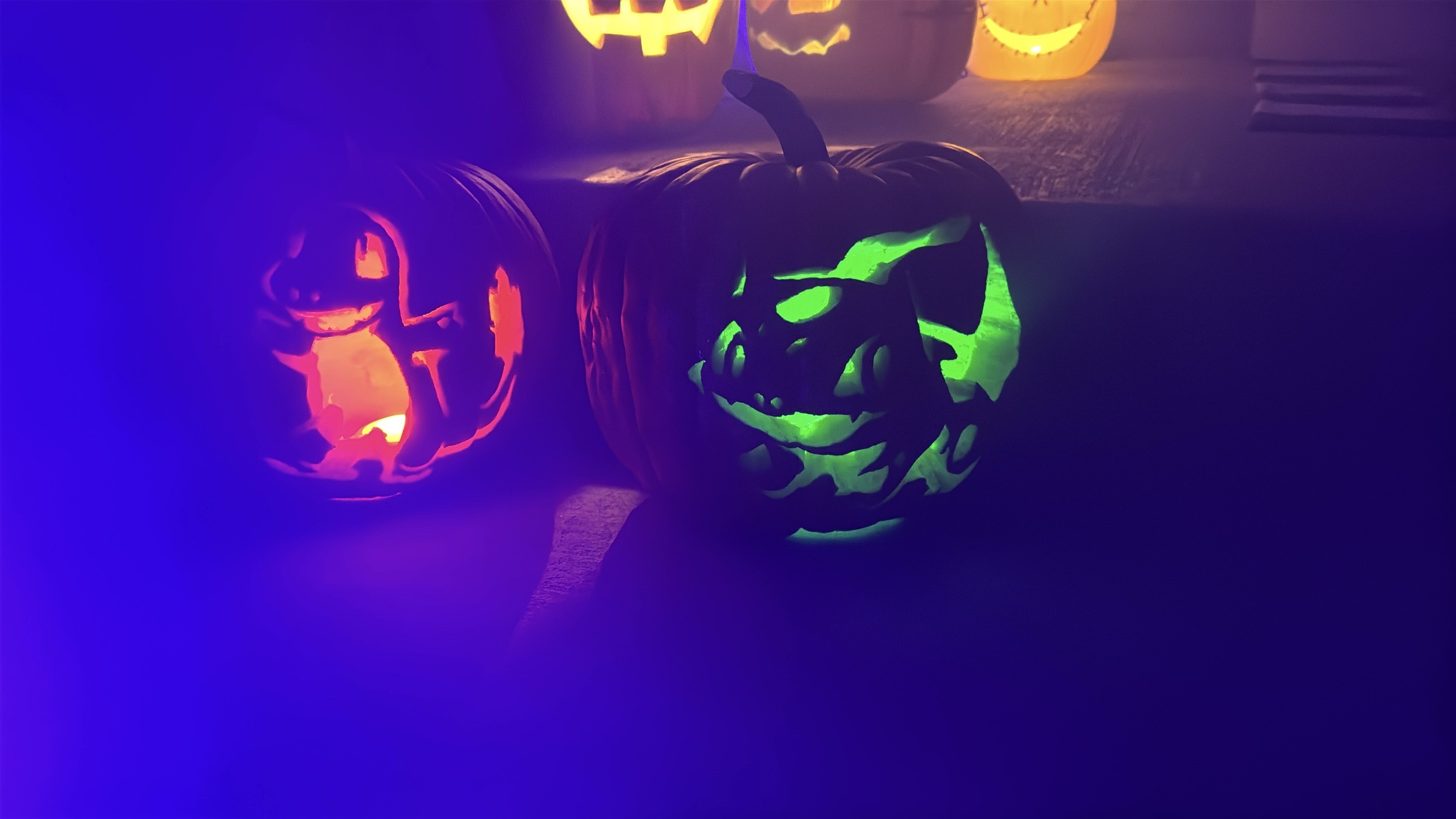 Check Out Our Pumpkins This Year!