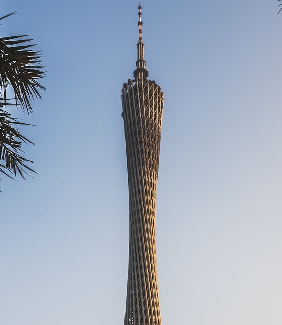 Reaching New Heights: Towers Top