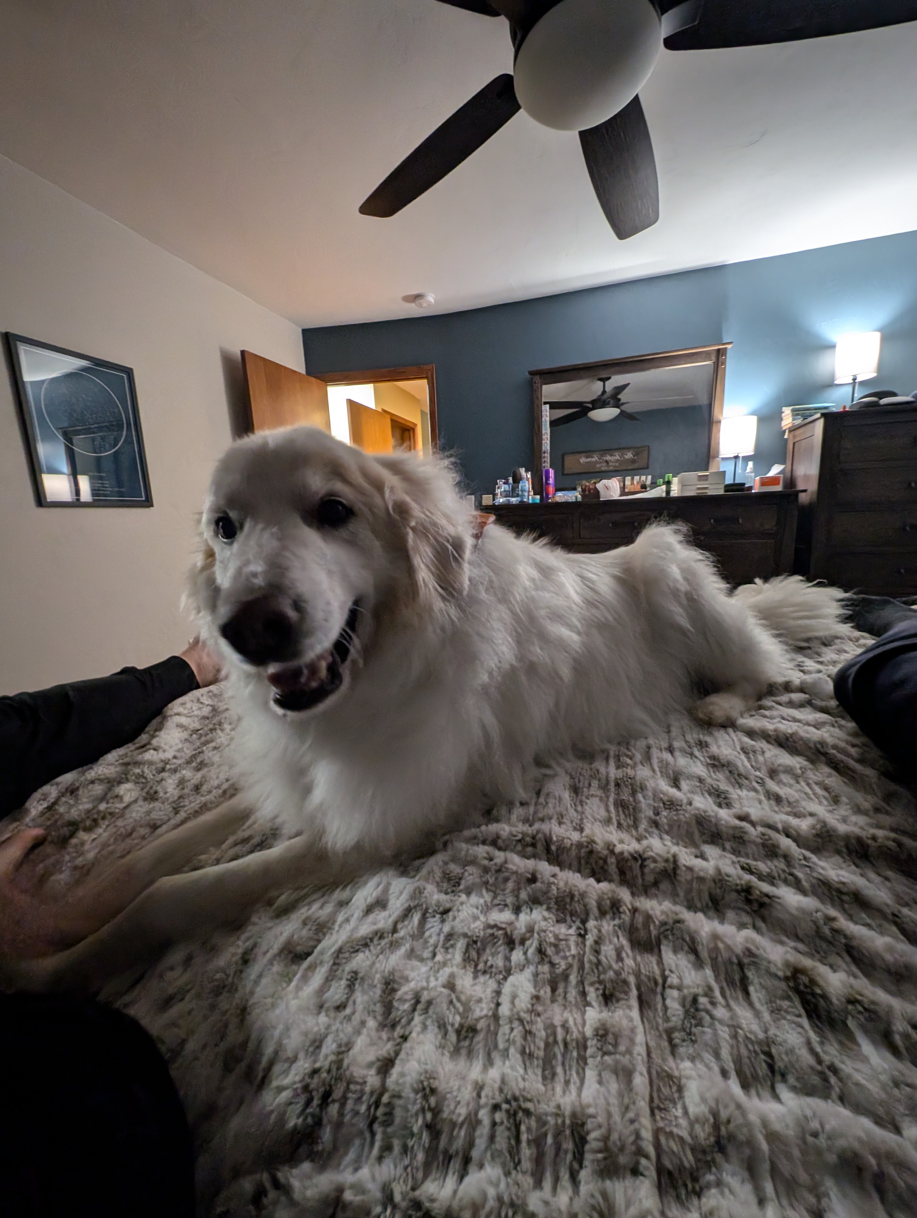 Your daily dose of winter: Day 775 and counting!