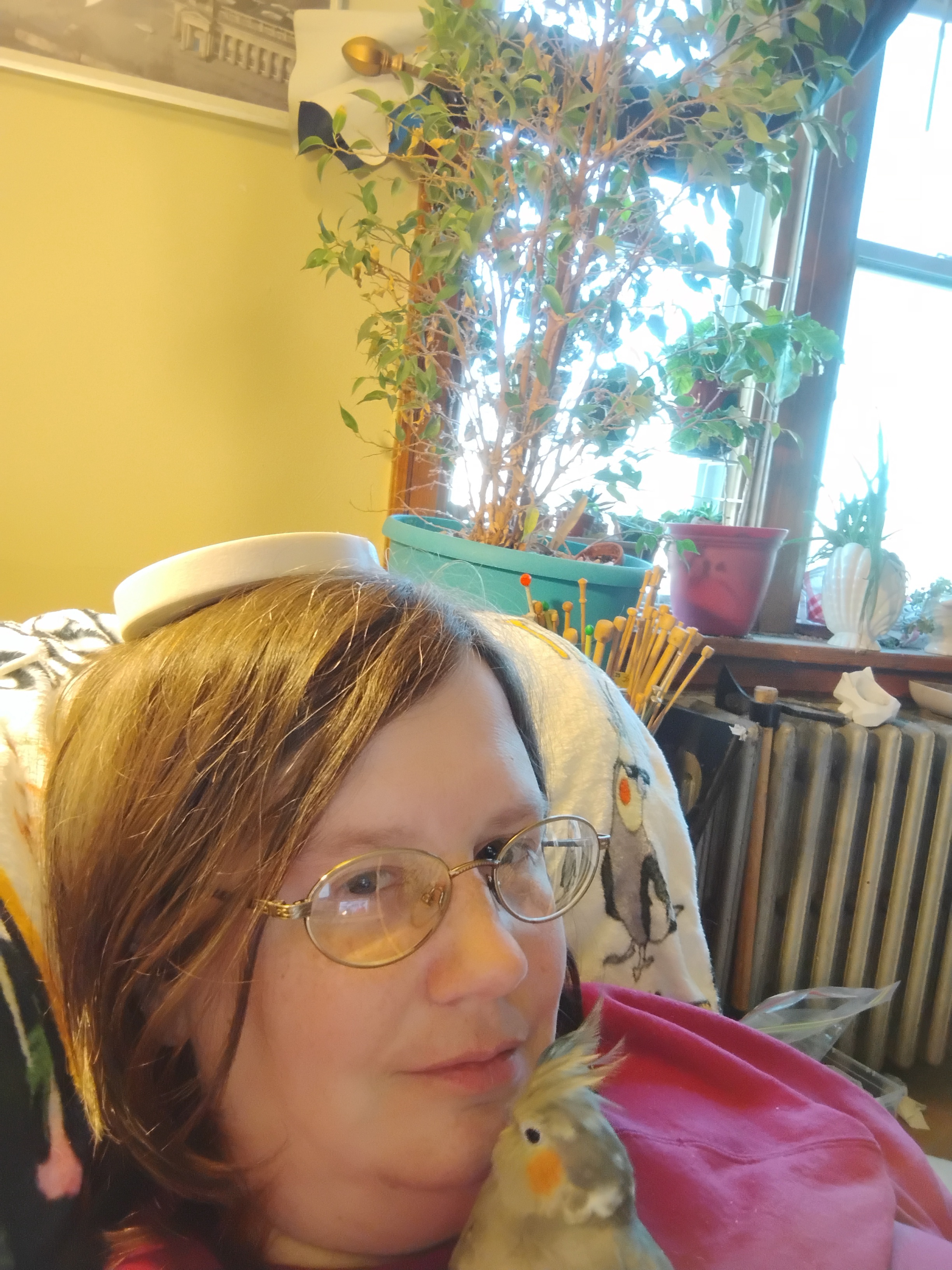 Introducing the Revolutionary Anti-Bird-On-Head Device (Patent Pending)