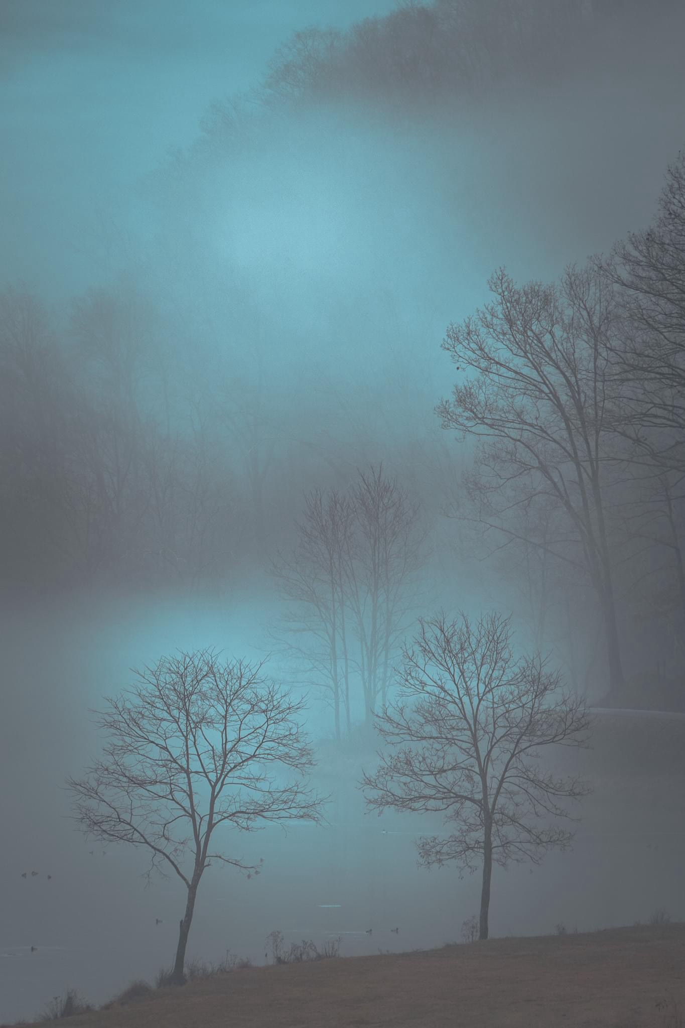 Mysterious Turquoise Mist: Nature's Enigma