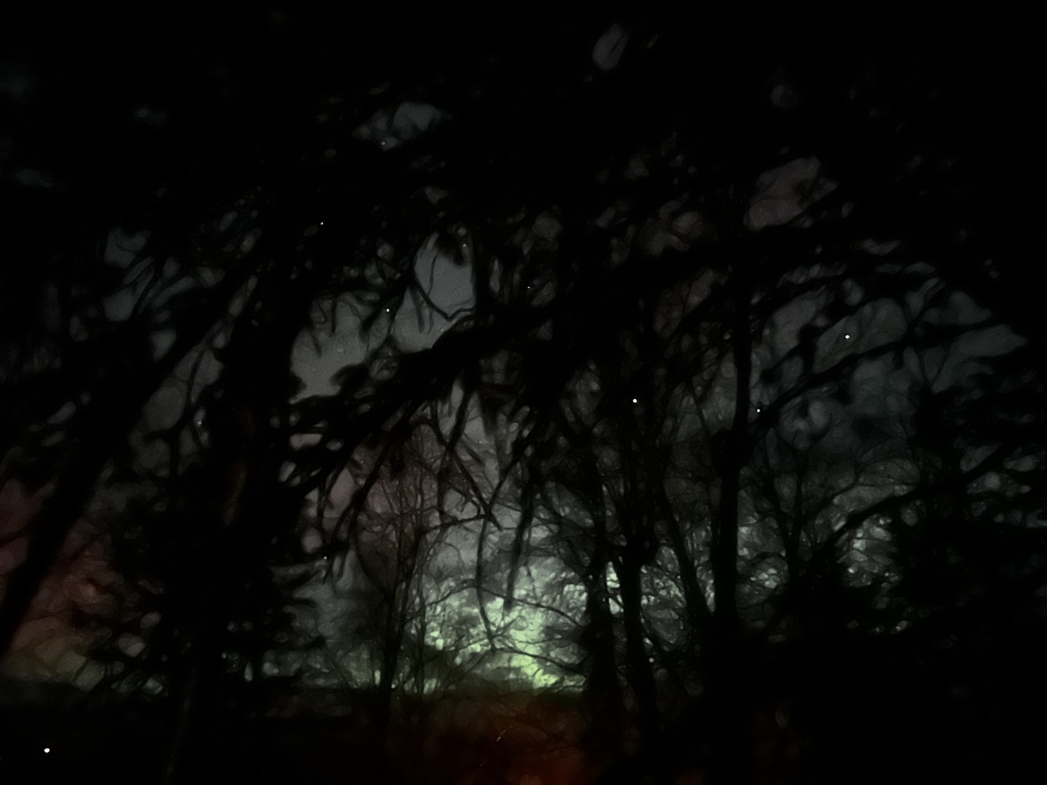 A serene night scene