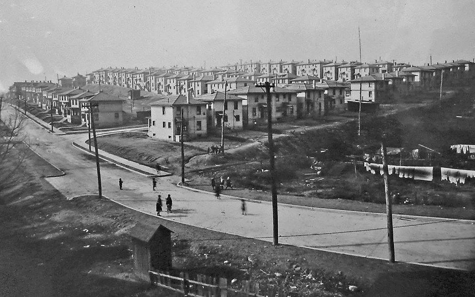 Welcome to Cement City: A Concrete Jungle