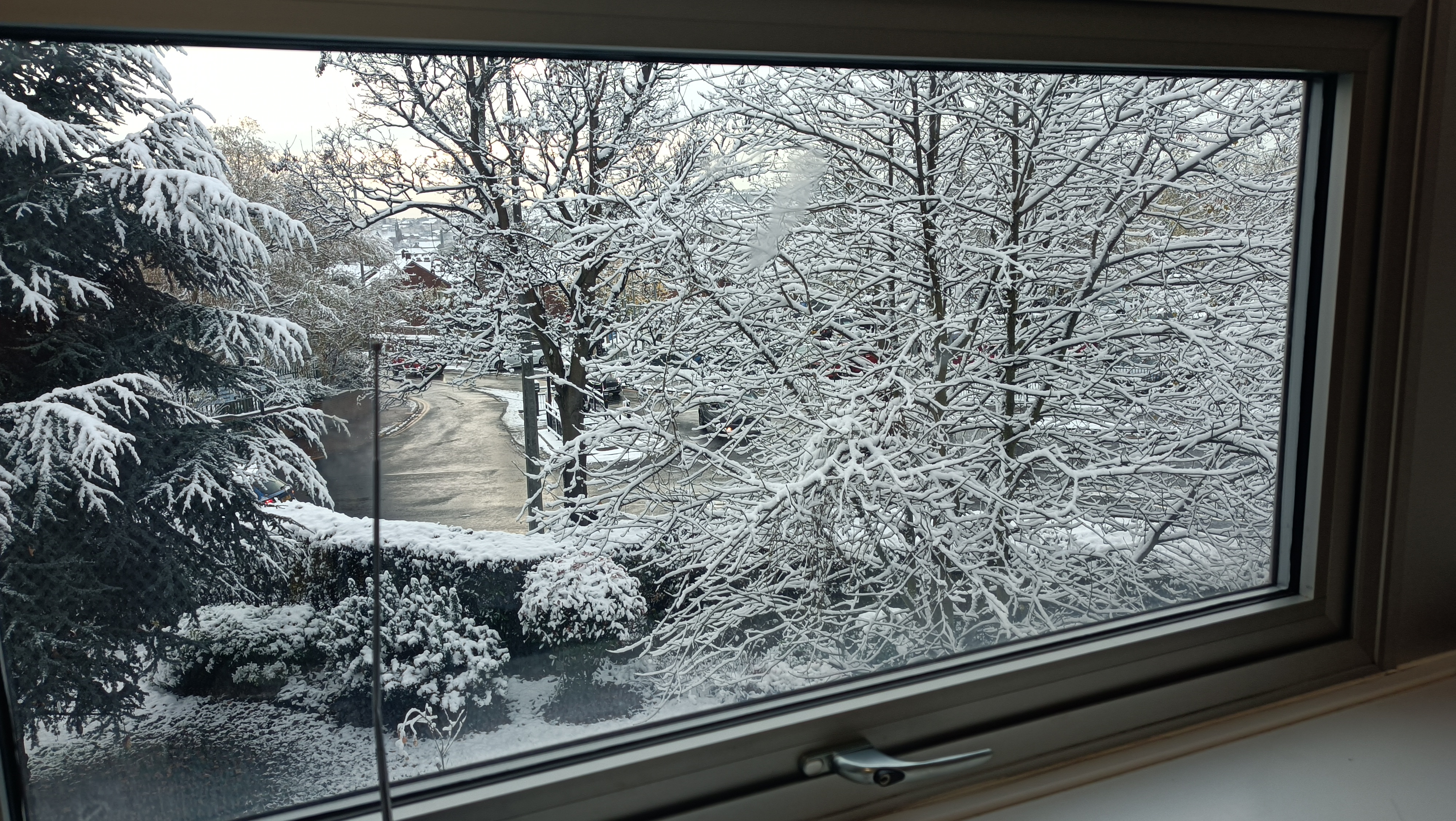 A Beautiful View from My Hospital Ward