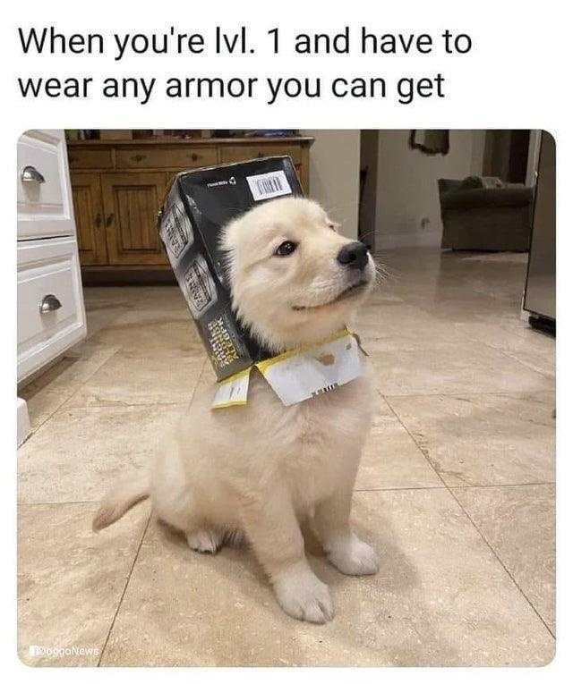 I Discovered a Crate of Stolen Memes on the Beach—Let’s Share the Fun!