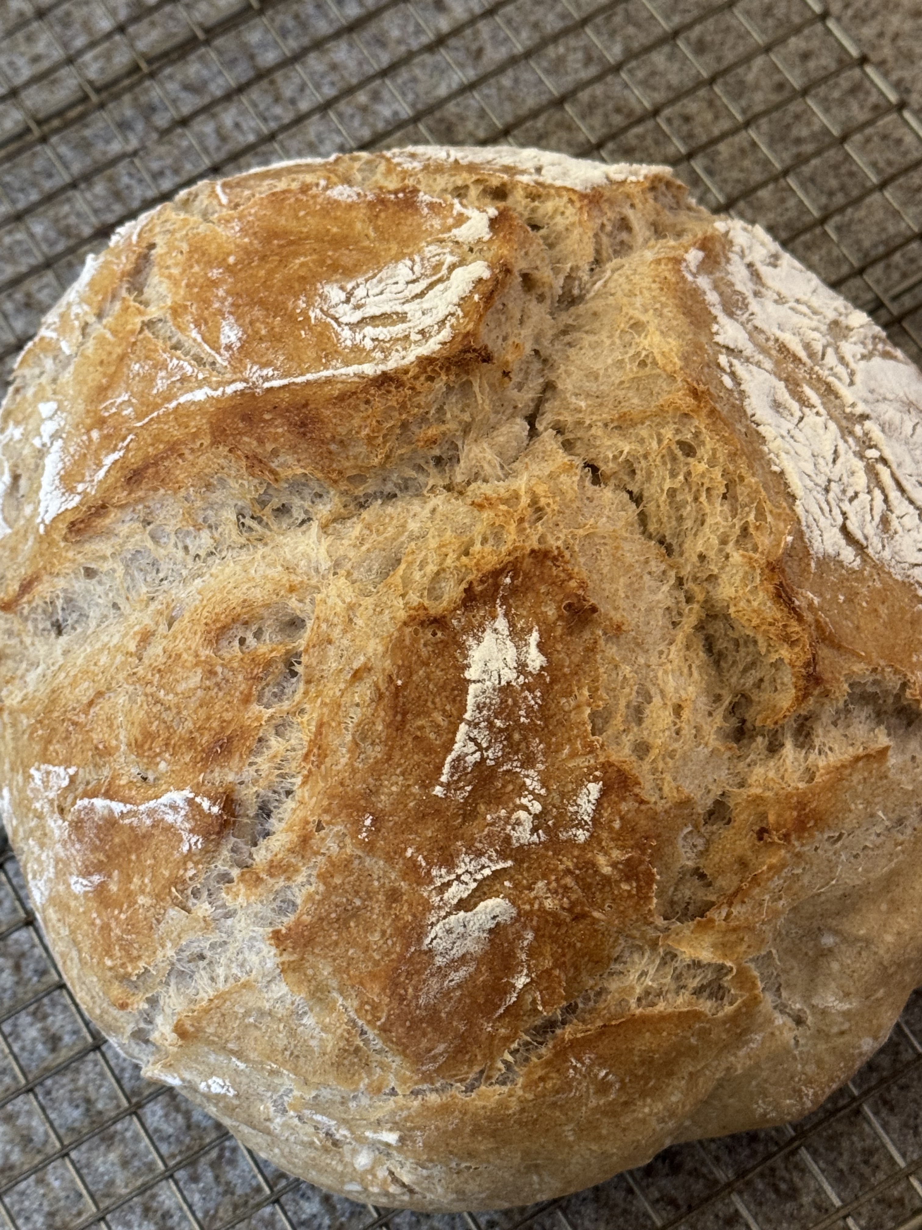 Mastering No-Knead Bread