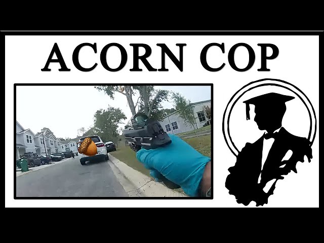 Join the Acorn Team!