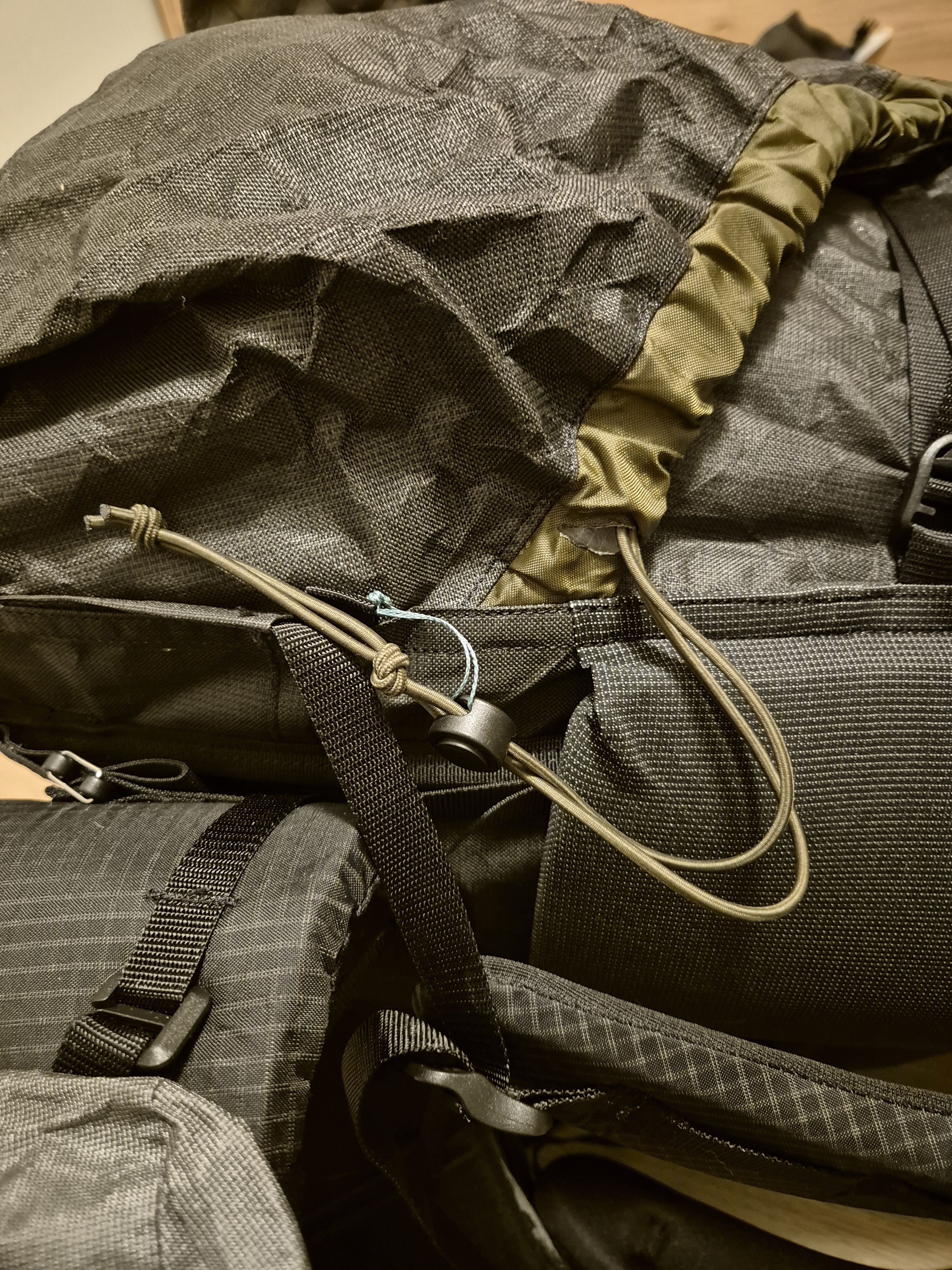 Exploring the Exciting Modifications of the Big Wild 95L
