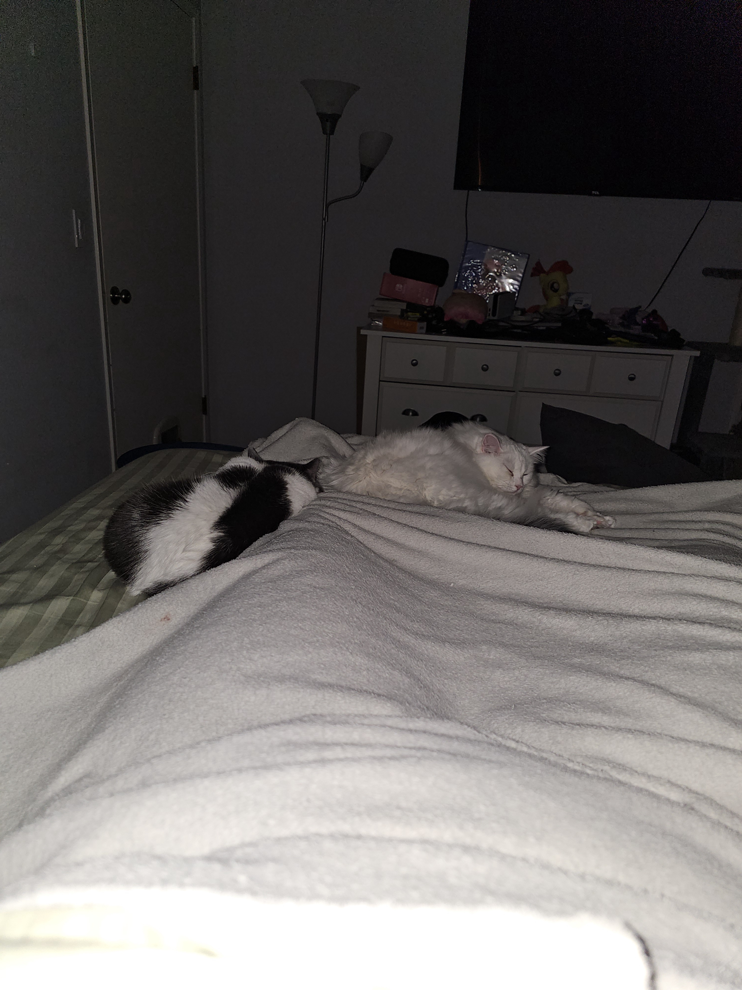 Wishing You a Peaceful and Restful Night