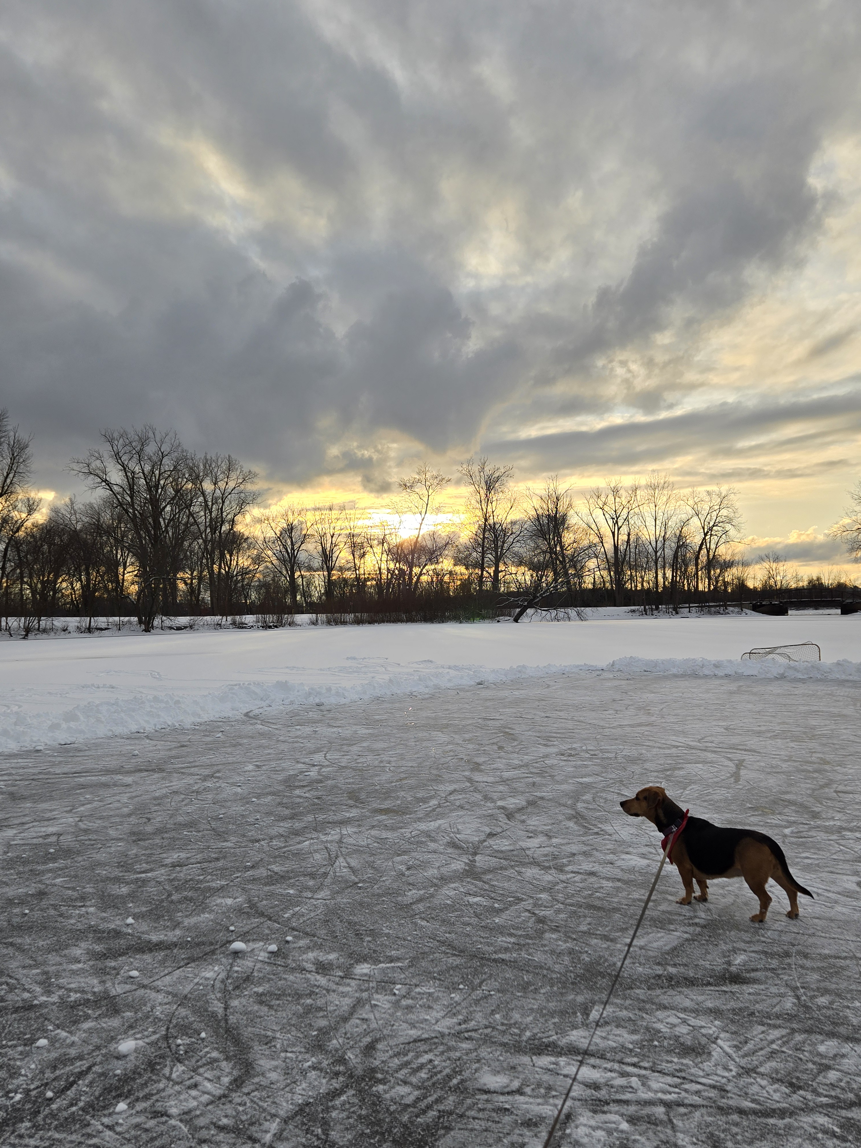 Captivating QMI Snowy Sunset Moments