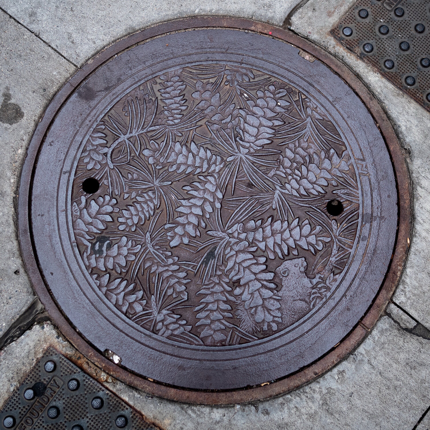 A Unique Pinecone Design on a Manhole Cover!