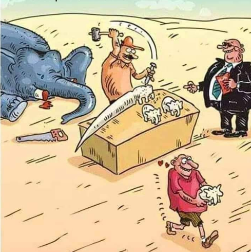 Humans Can Be So Silly Sometimes