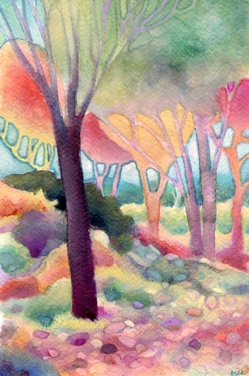 A Beautiful Sunny Day in the Forest