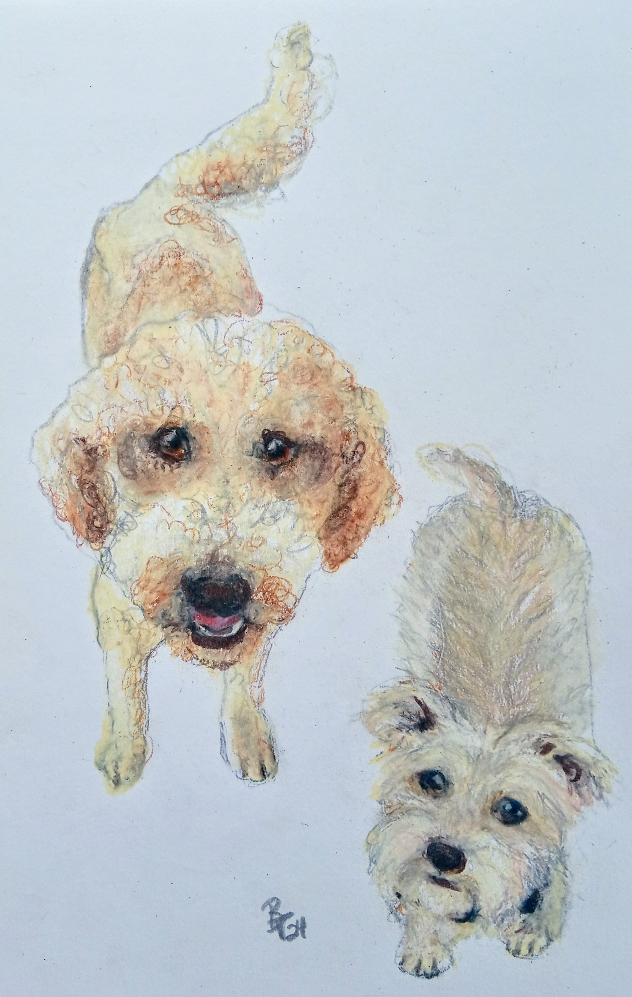 Sketching the Dogs I'm Watching This Weekend: A Creative Journey