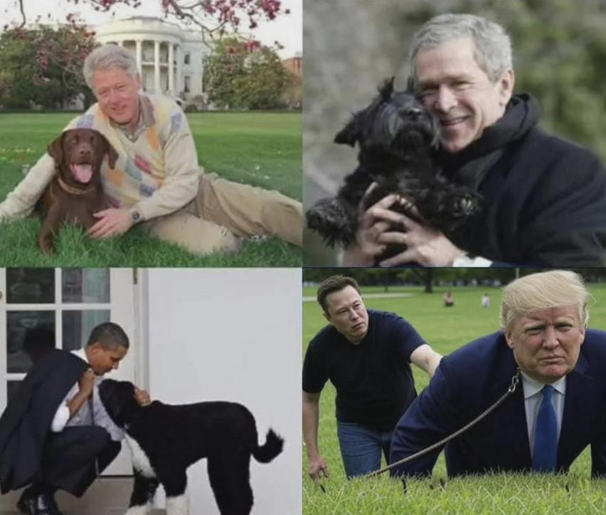 A Look at Presidents and Their Adorable Dogs