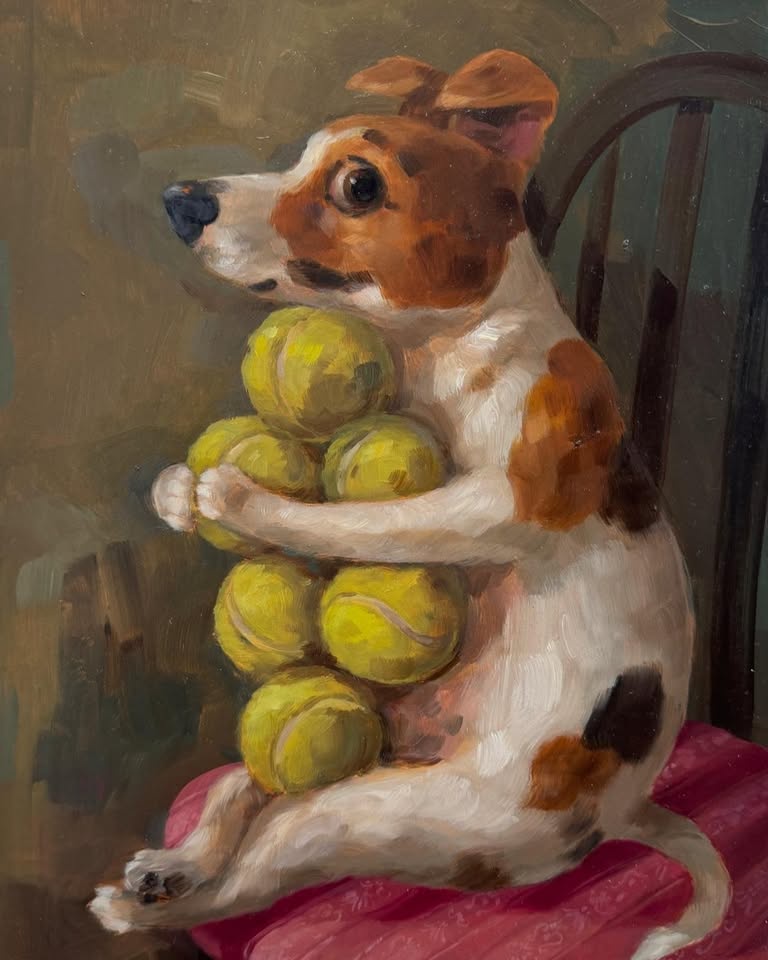 Archie’s Adventure: Losing One Ball and Finding Six by Alison Friend
