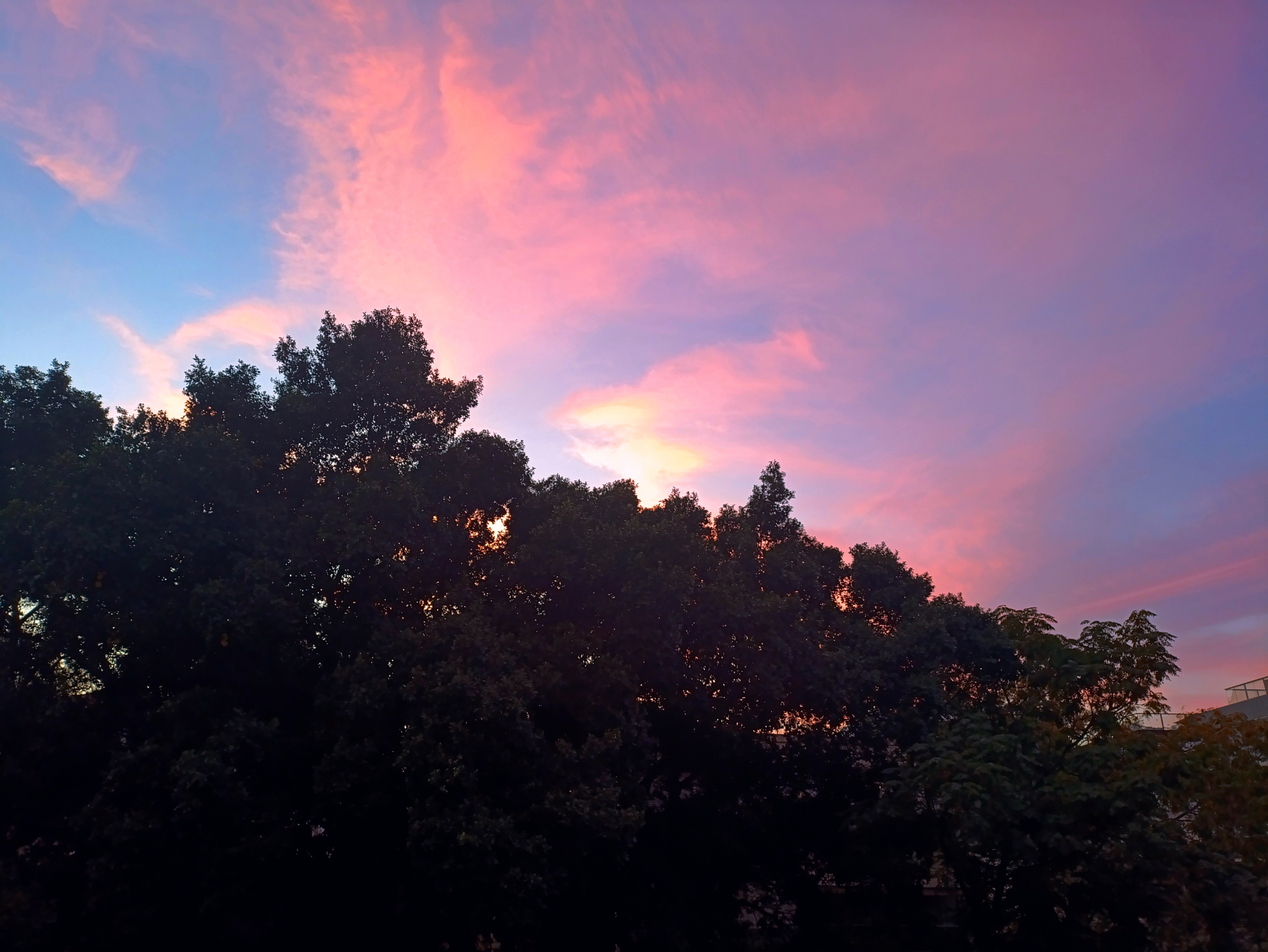 Capturing the Beauty of a Friday Sunset
