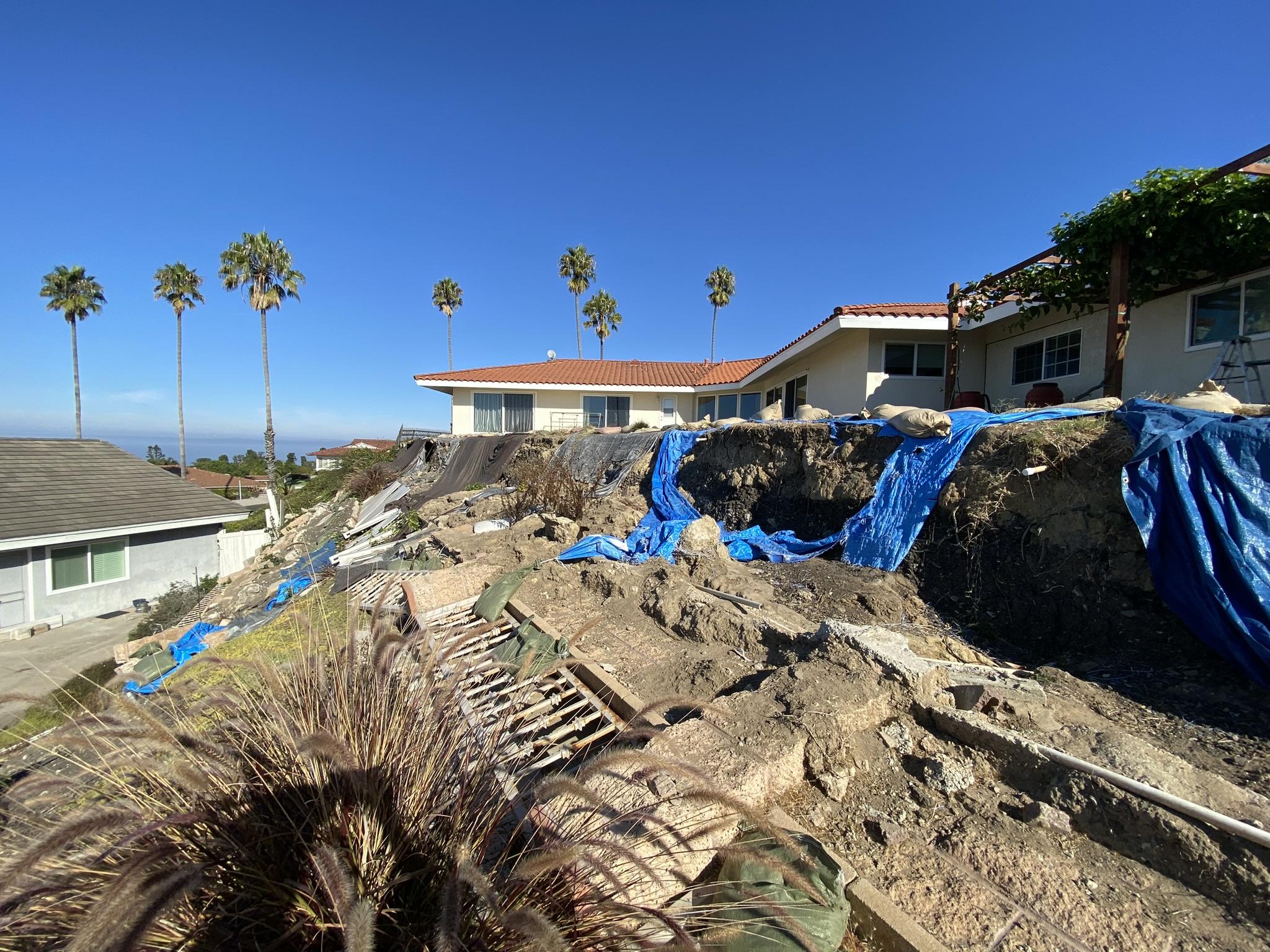 Interesting Finds from This Week's Structural Inspections!