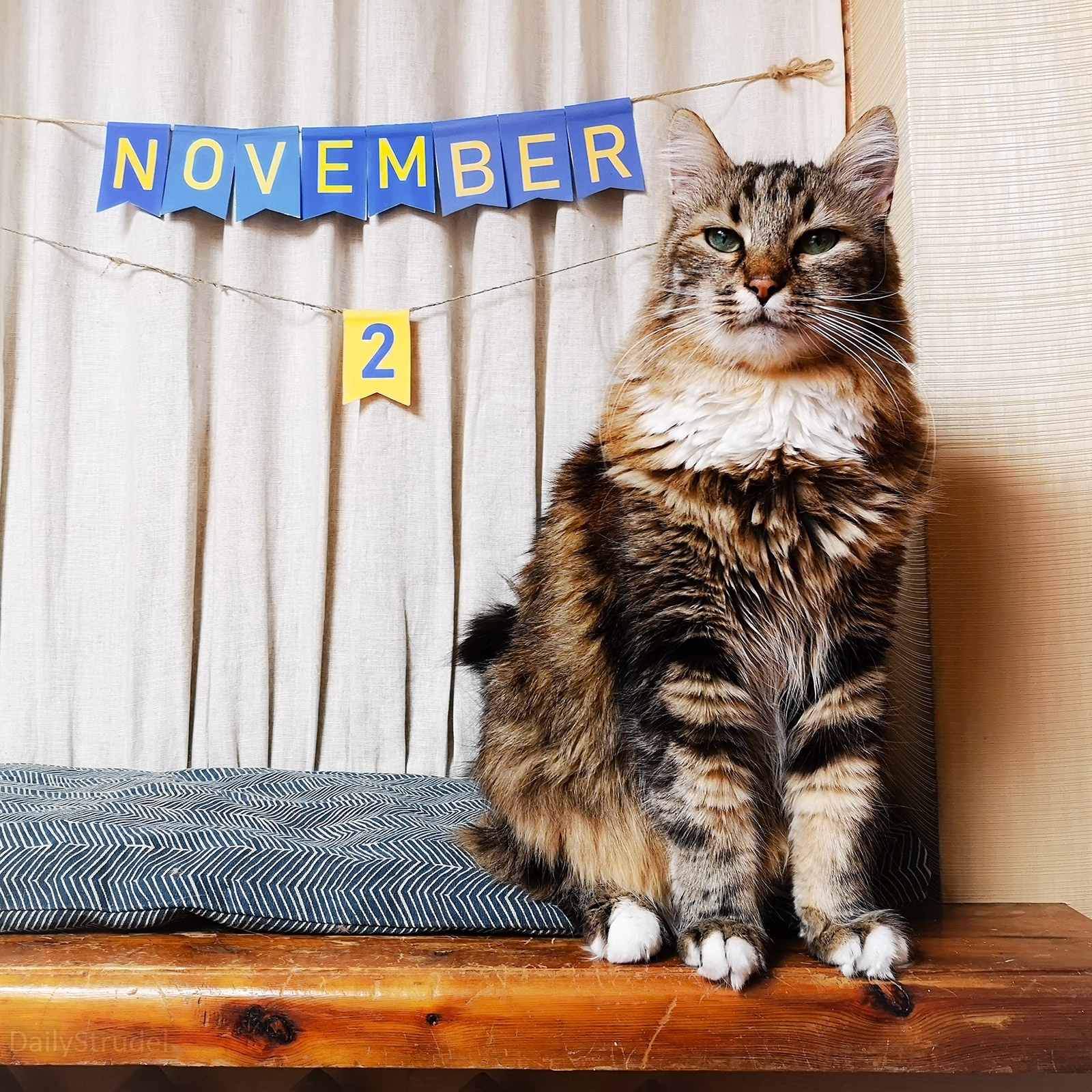 Mark Your Calendars: November 2nd