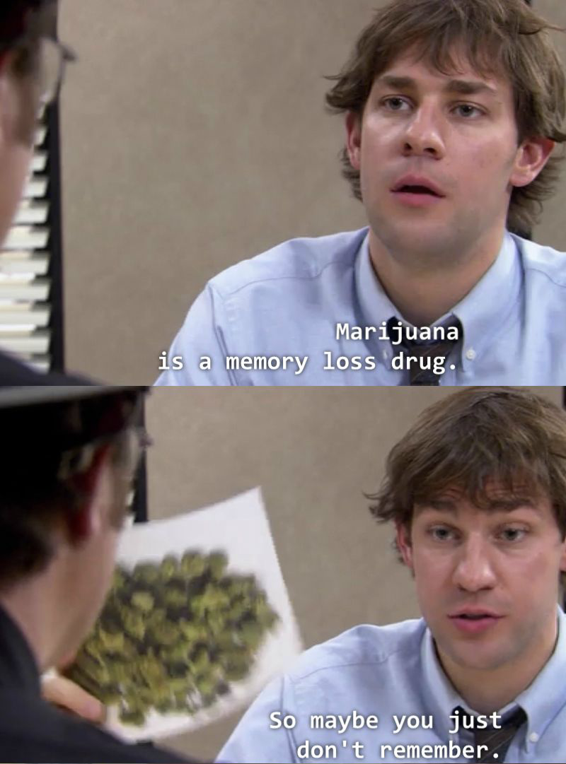 The Truth About Marijuana: A Memory Loss Perspective