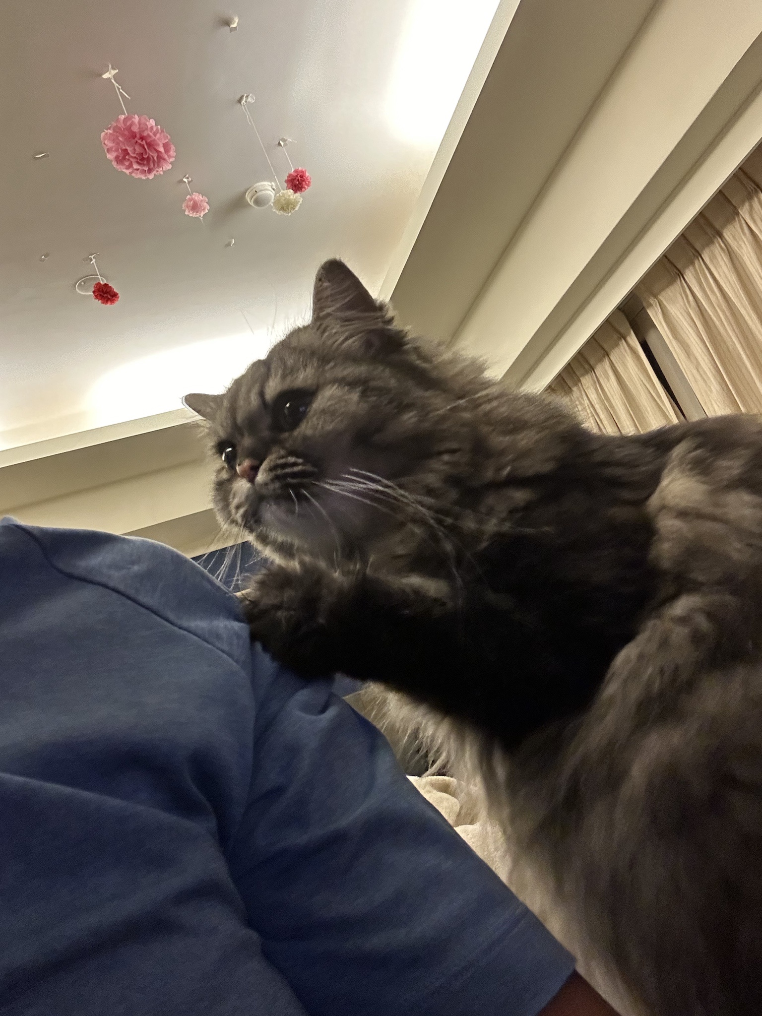 It's Dinner Time, Everyone!