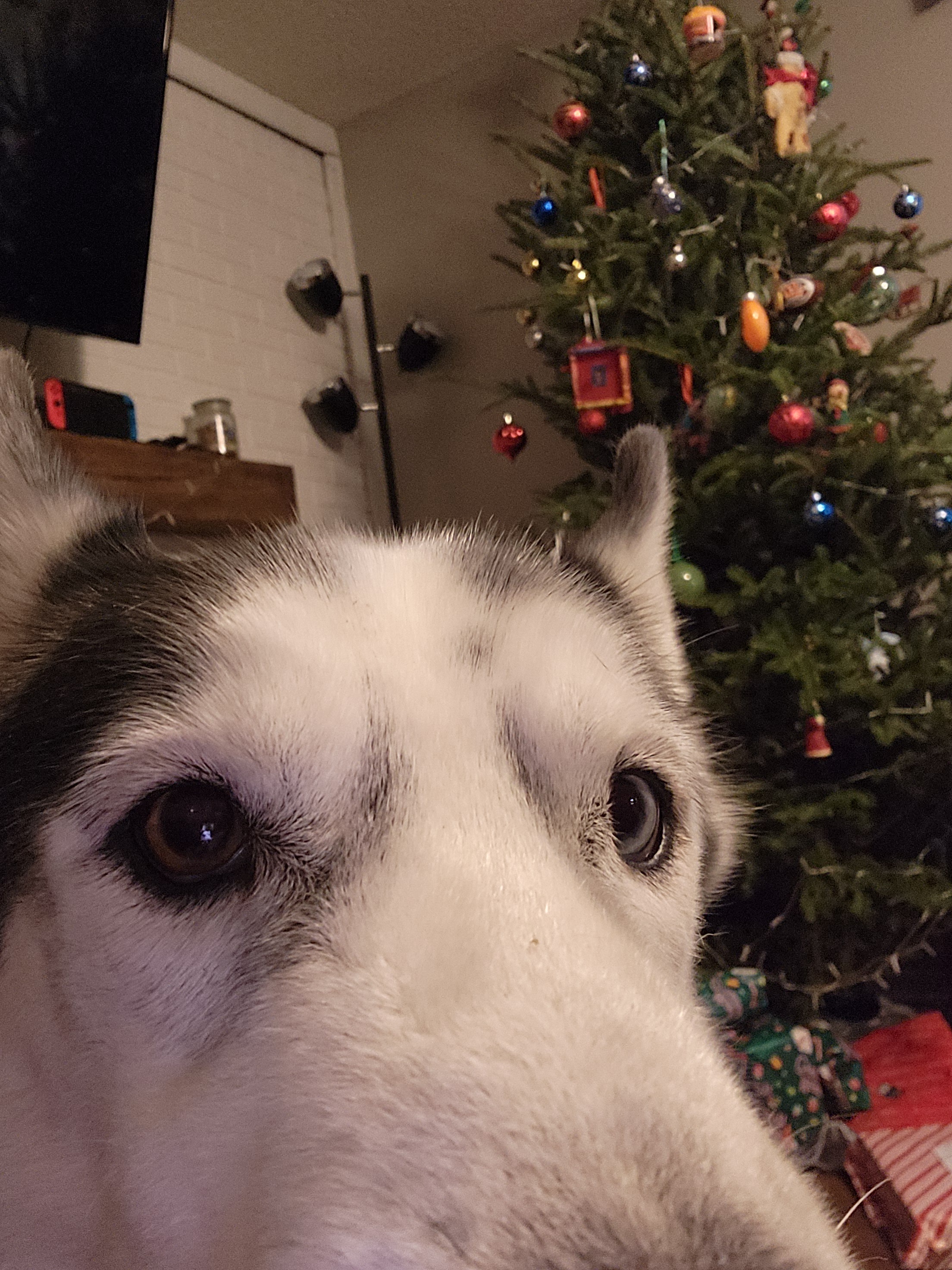 Wishing You Happy Holidays Full of Cheer!