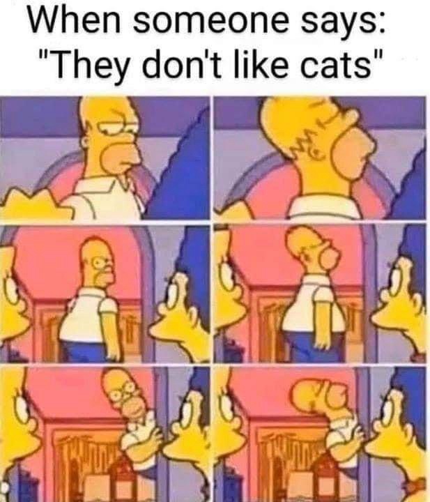 I Hear You All Are Cat Lovers!