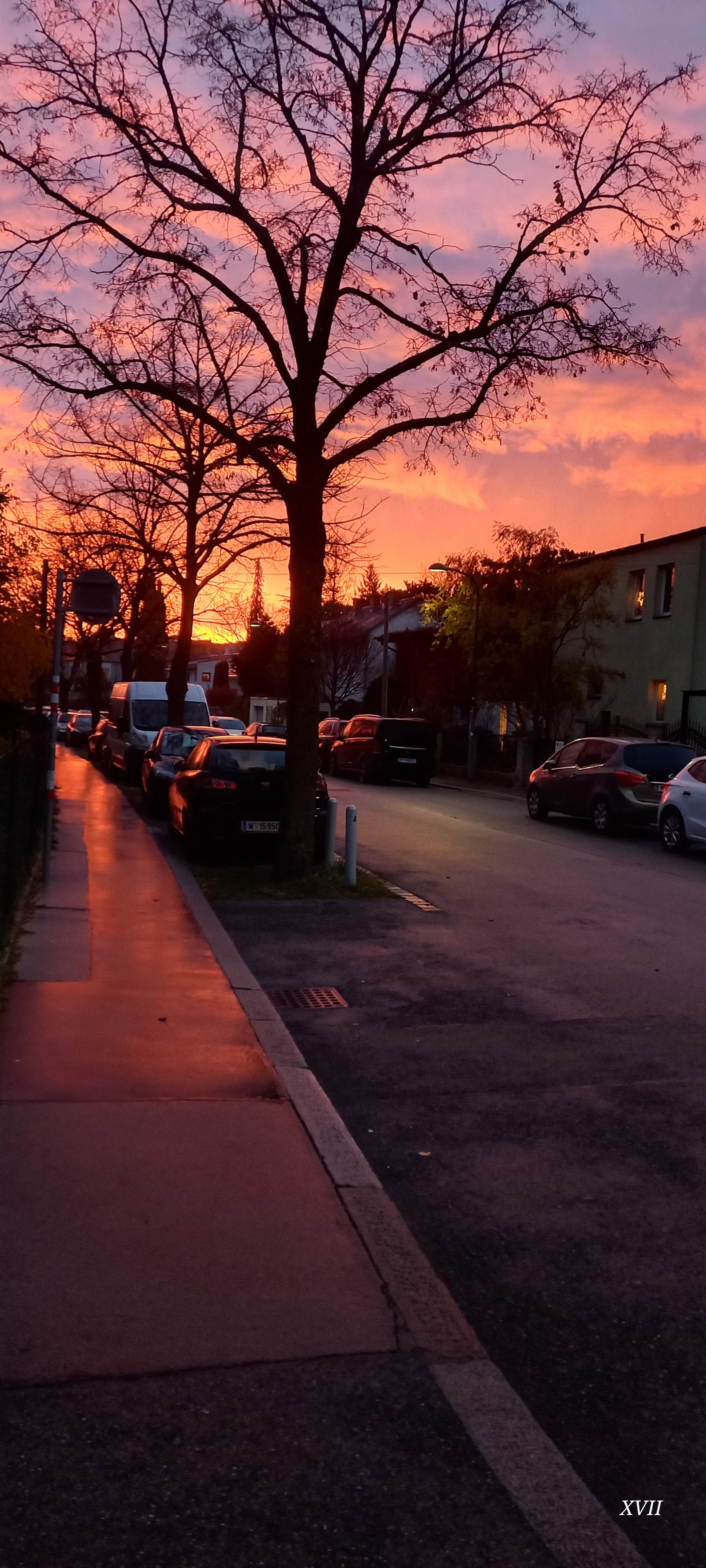 Breathtaking Sunrise Over Vienna