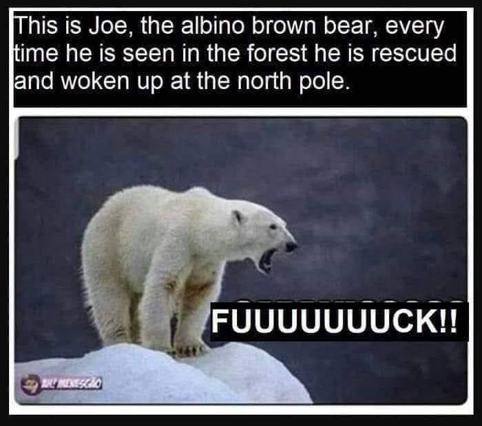 Joe's Disdain for Wildlife Protectors