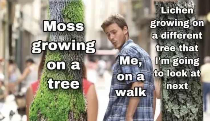 The Enthusiastic Moss Lover