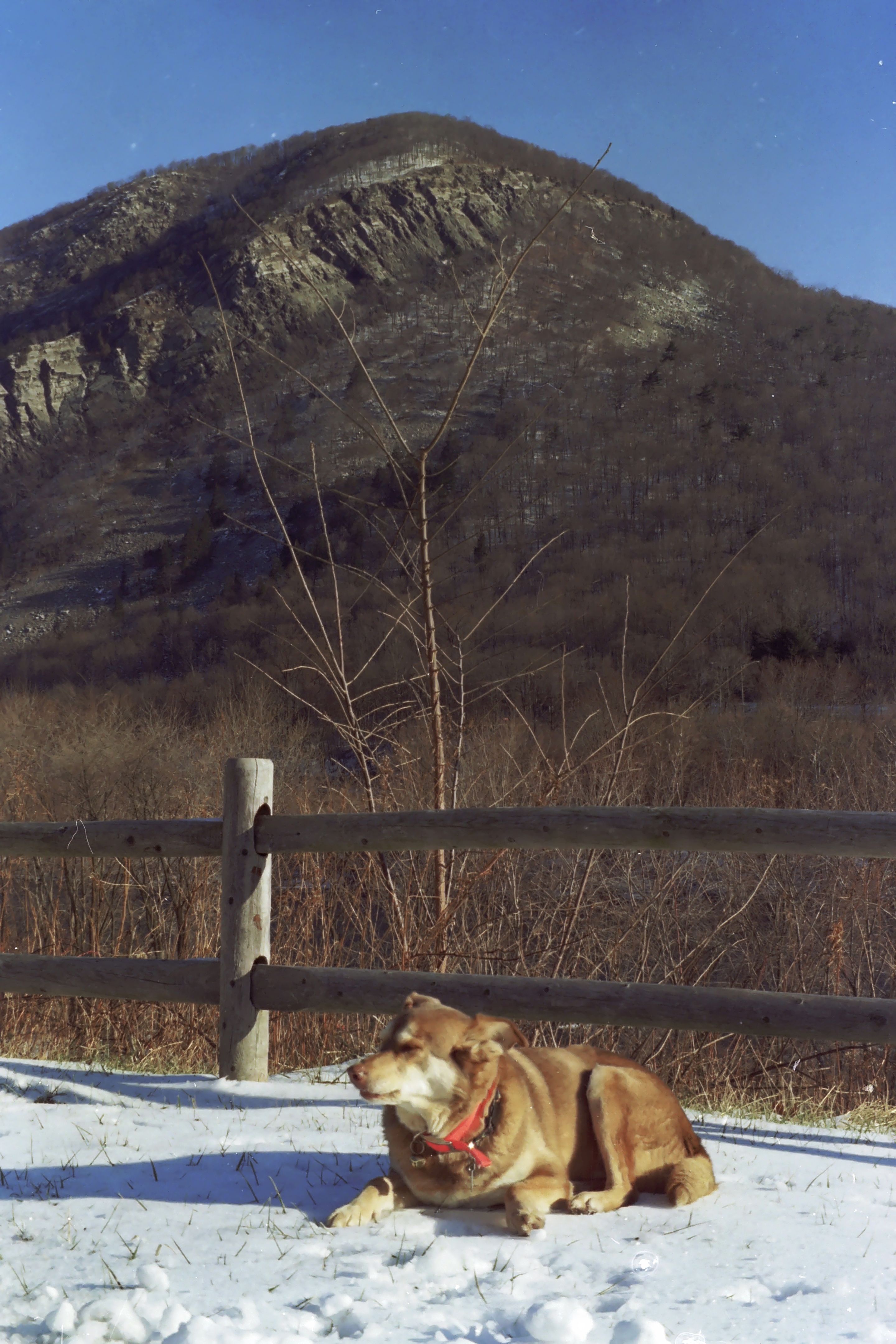 Exploring the beauty of Mt. Tammany