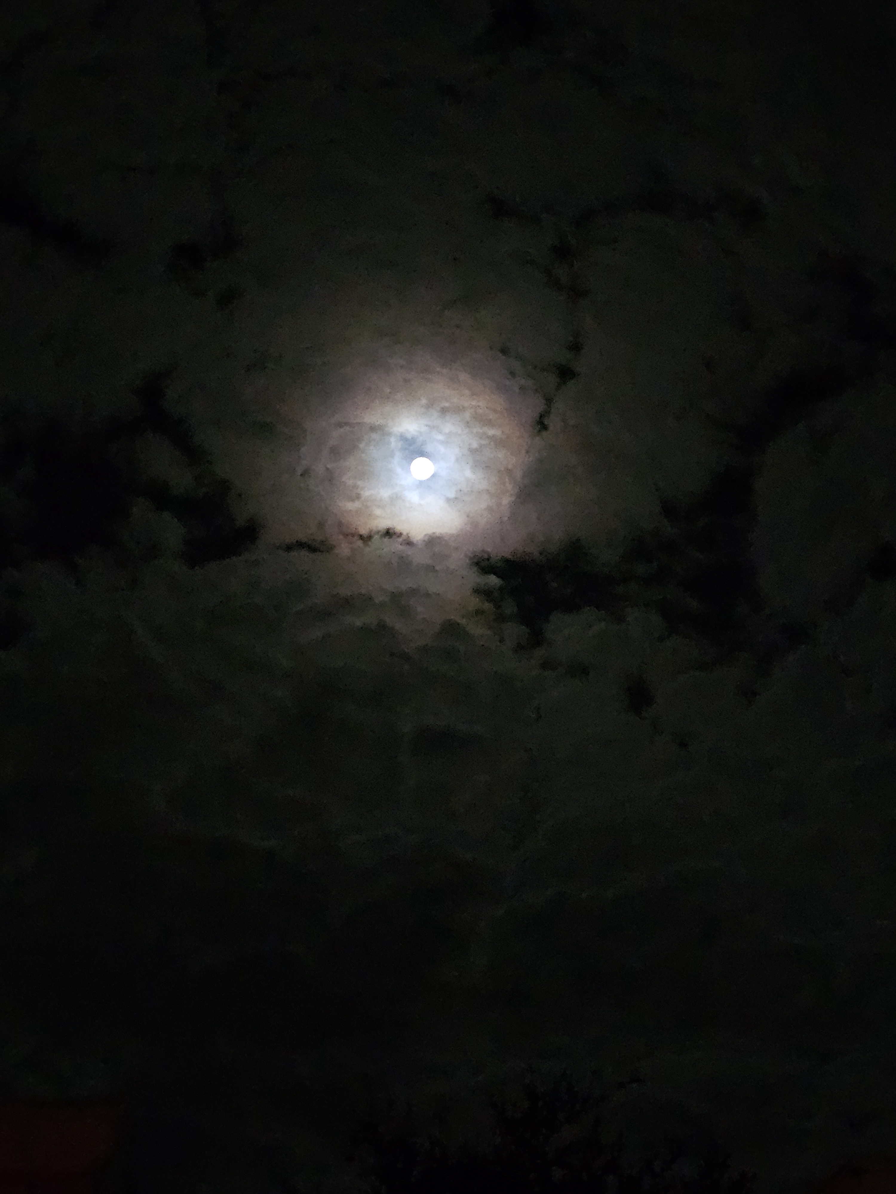 Tonight's Enchanting and Moody Moon