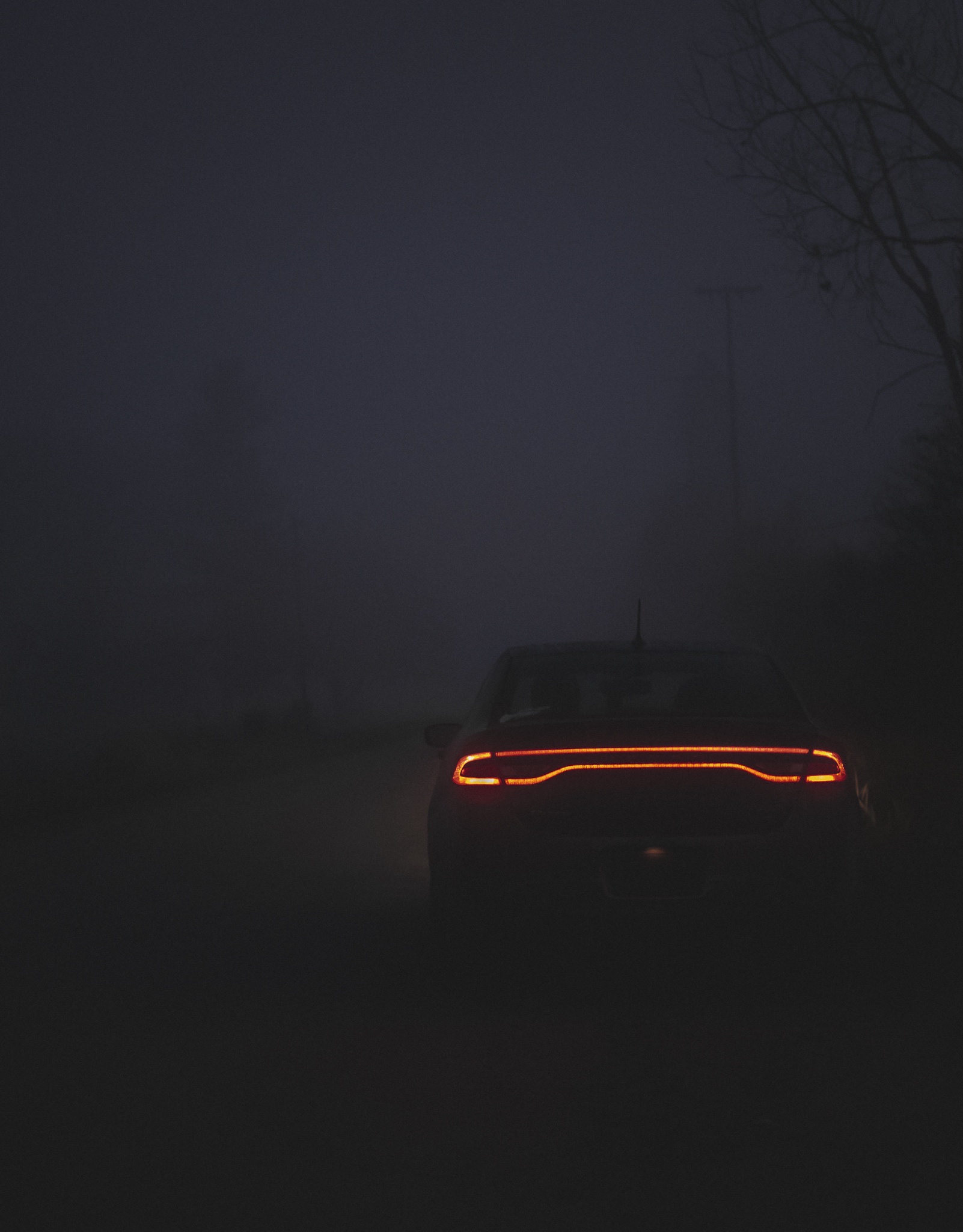 A Mysterious Foggy Morning on a Dusty Road