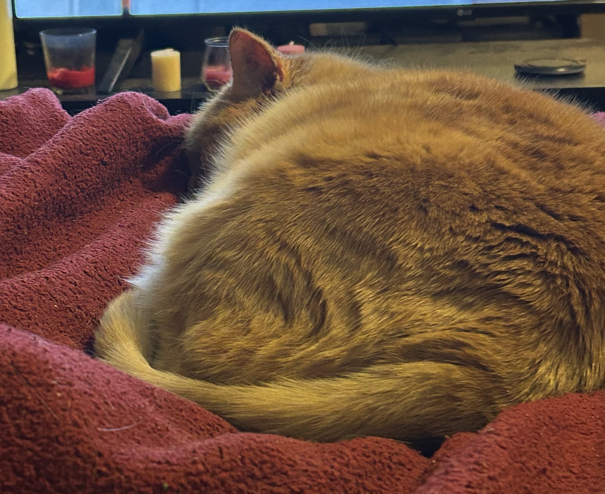 The Sleepiest Little Boy Around