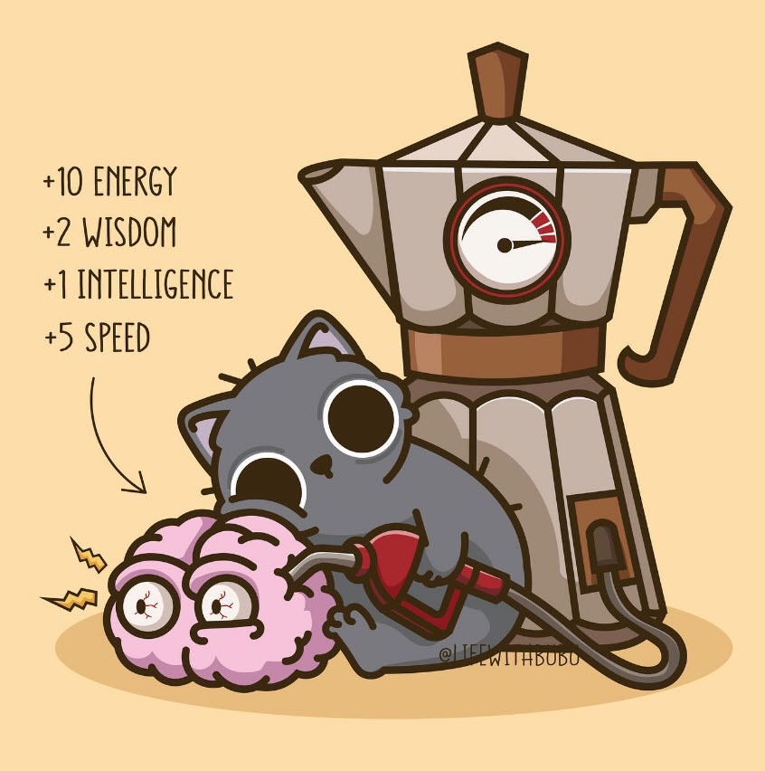 The Daily Routine of Life...