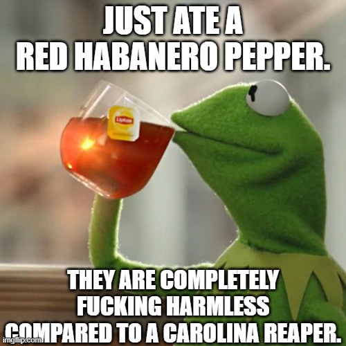 After surviving a reaper pepper, nothing else can faze you. Pepper X must feel like swallowing fire!