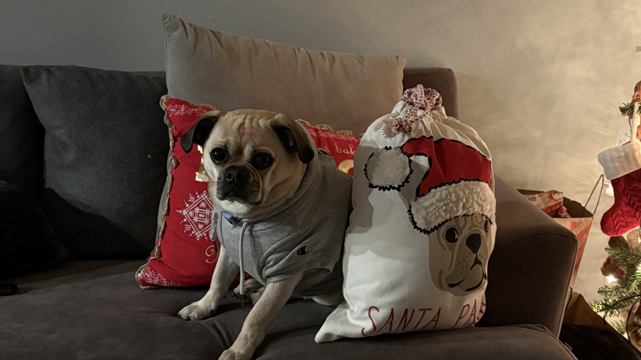 Yo-yo the chug is all set for Christmas!